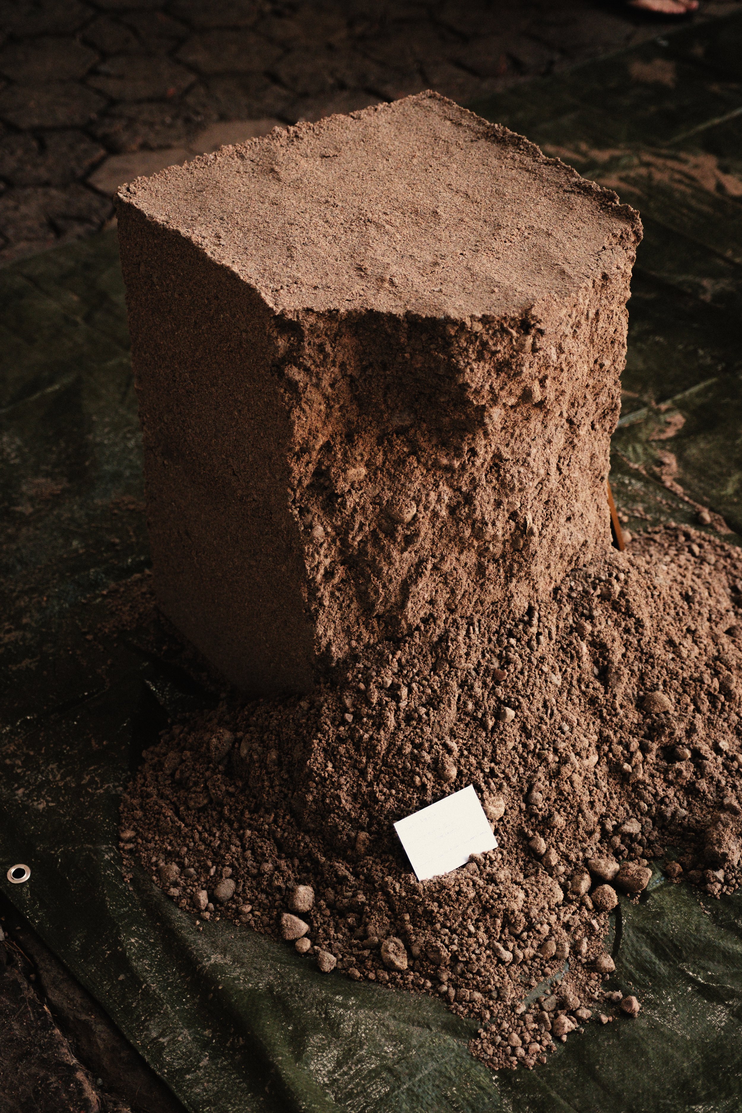 260627_SOS-AMADO-PEÑA-018.jpg