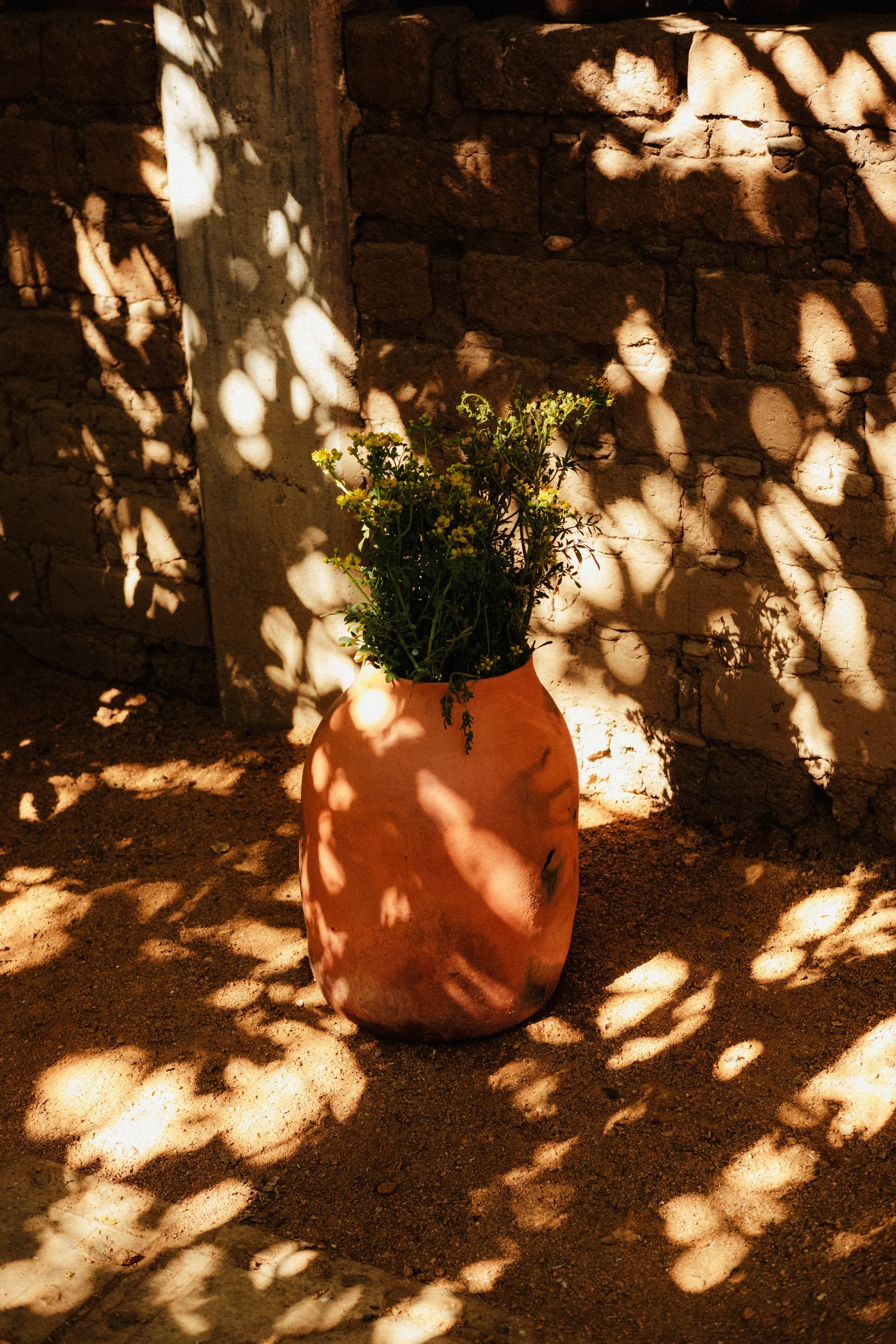 260104_ALFONSINA-COCINA_016.jpg