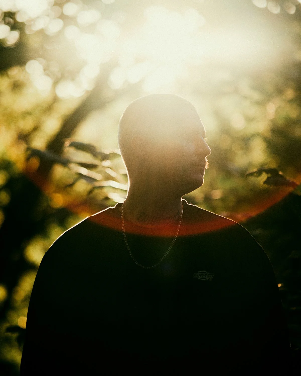Silhouette of a person with a bald head, standing outdoors with sunlight shining behind them, surrounded by trees and leaves.