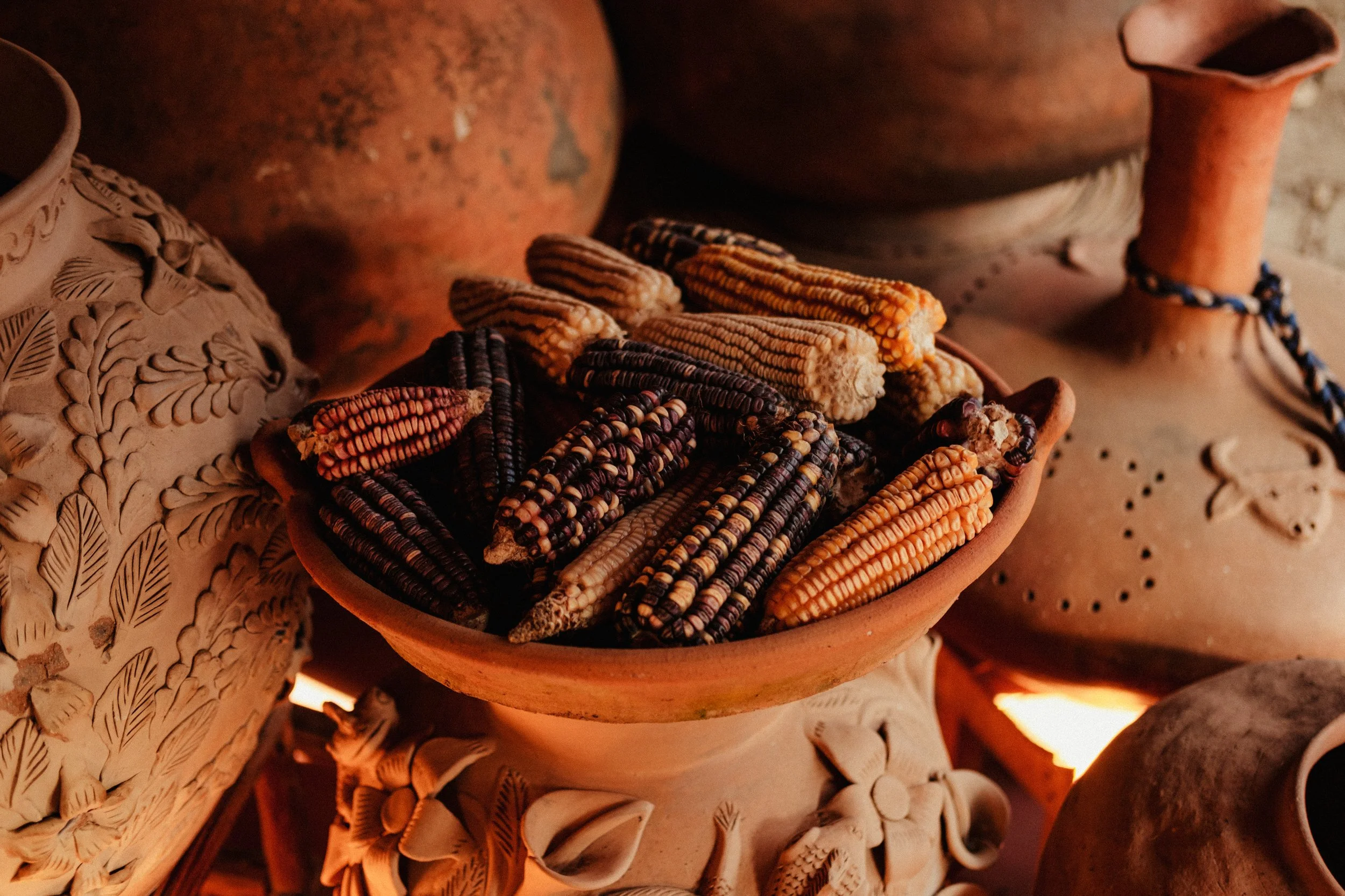 260104_ALFONSINA-COCINA_034.jpg