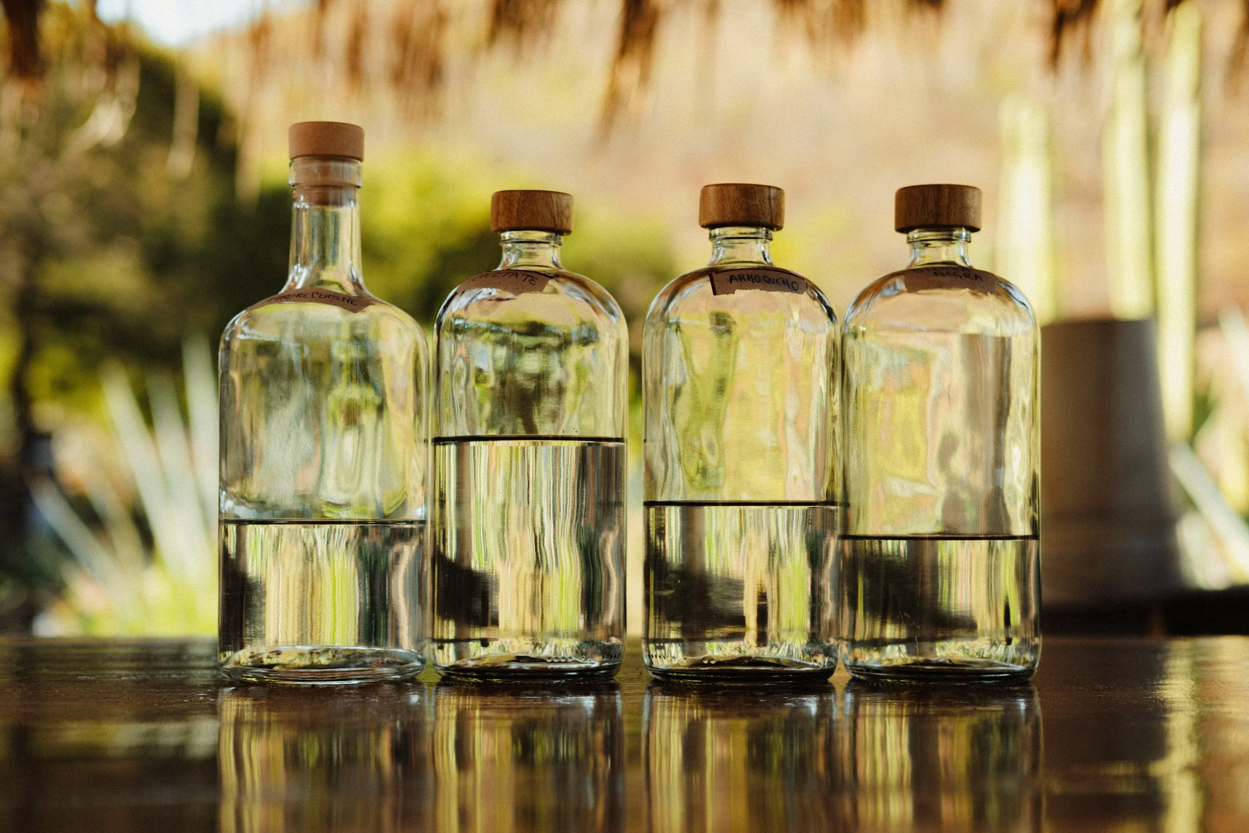260103_MEZCAL-CONVITE_0148.jpg