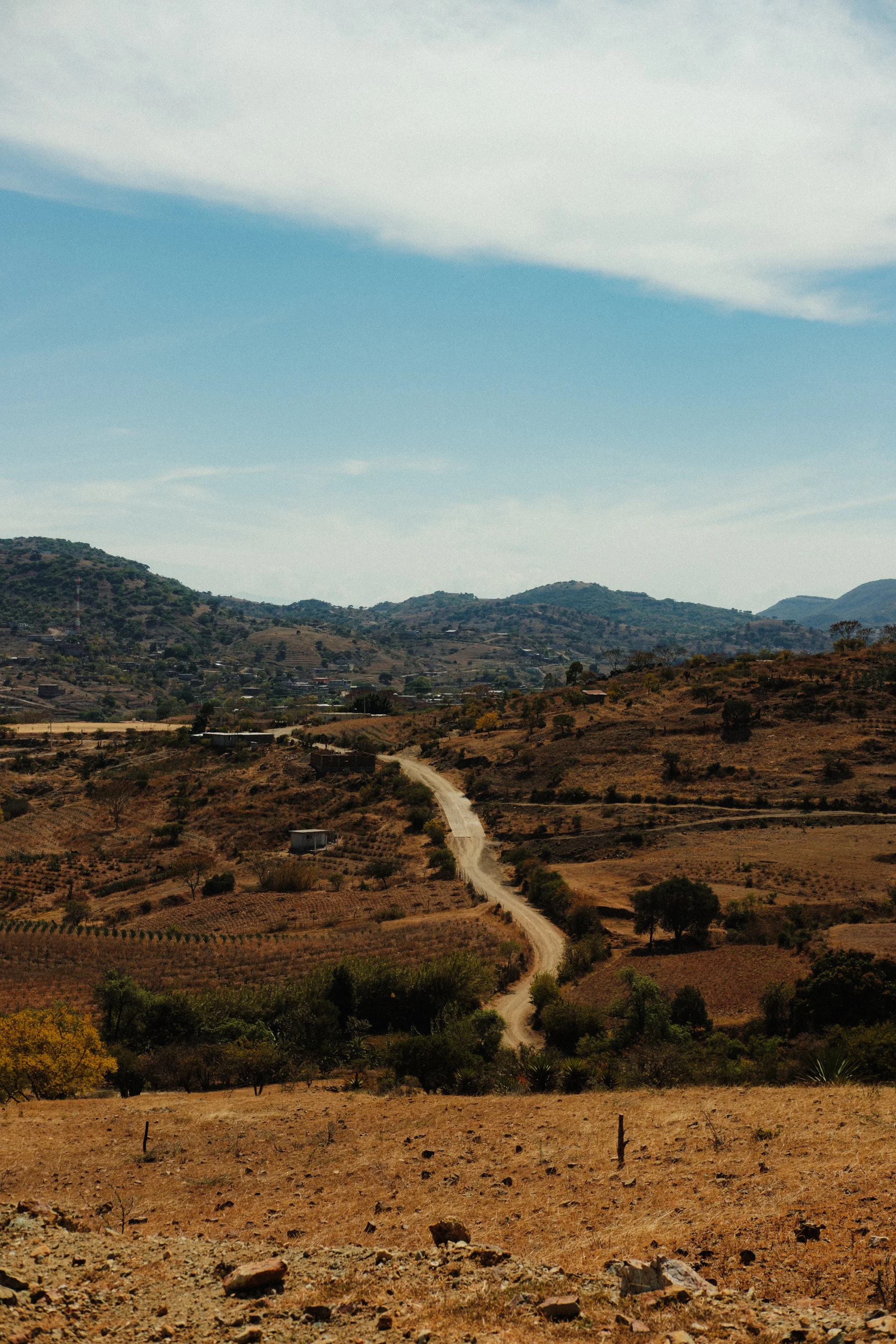 260103_MEZCAL-CONVITE_080.jpg