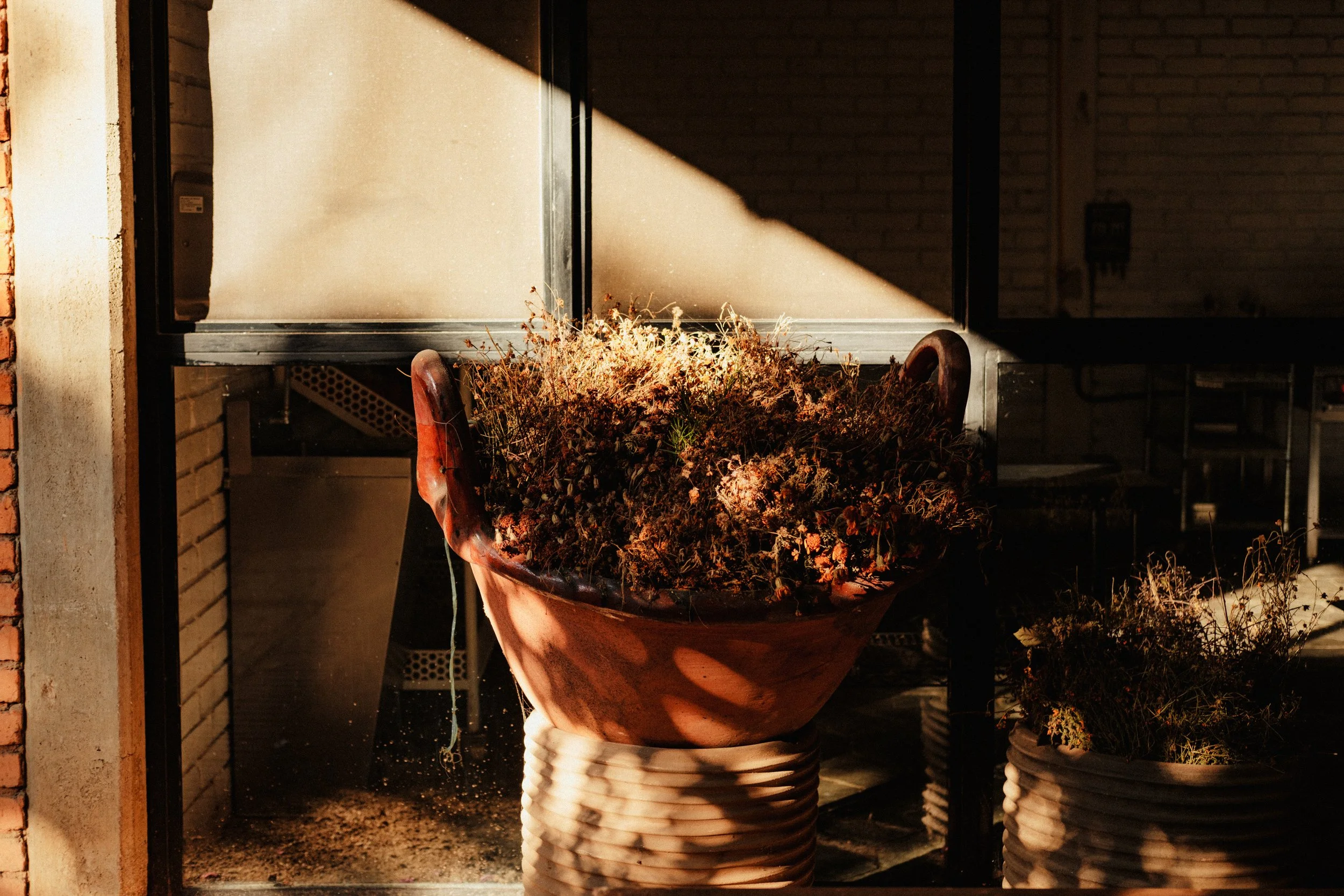 260104_ALFONSINA-COCINA_032.jpg