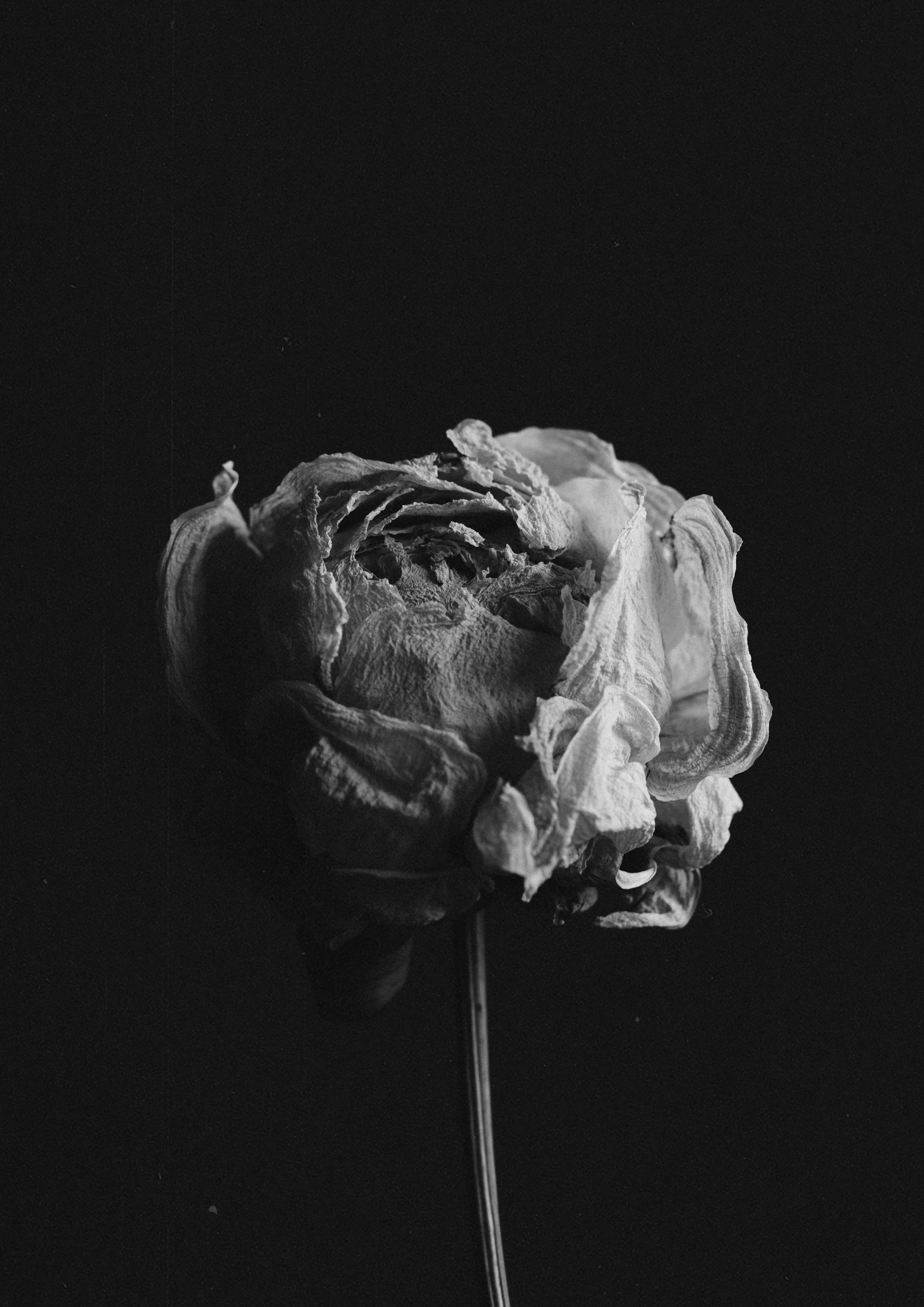 SEDIMENTS-06.jpg
