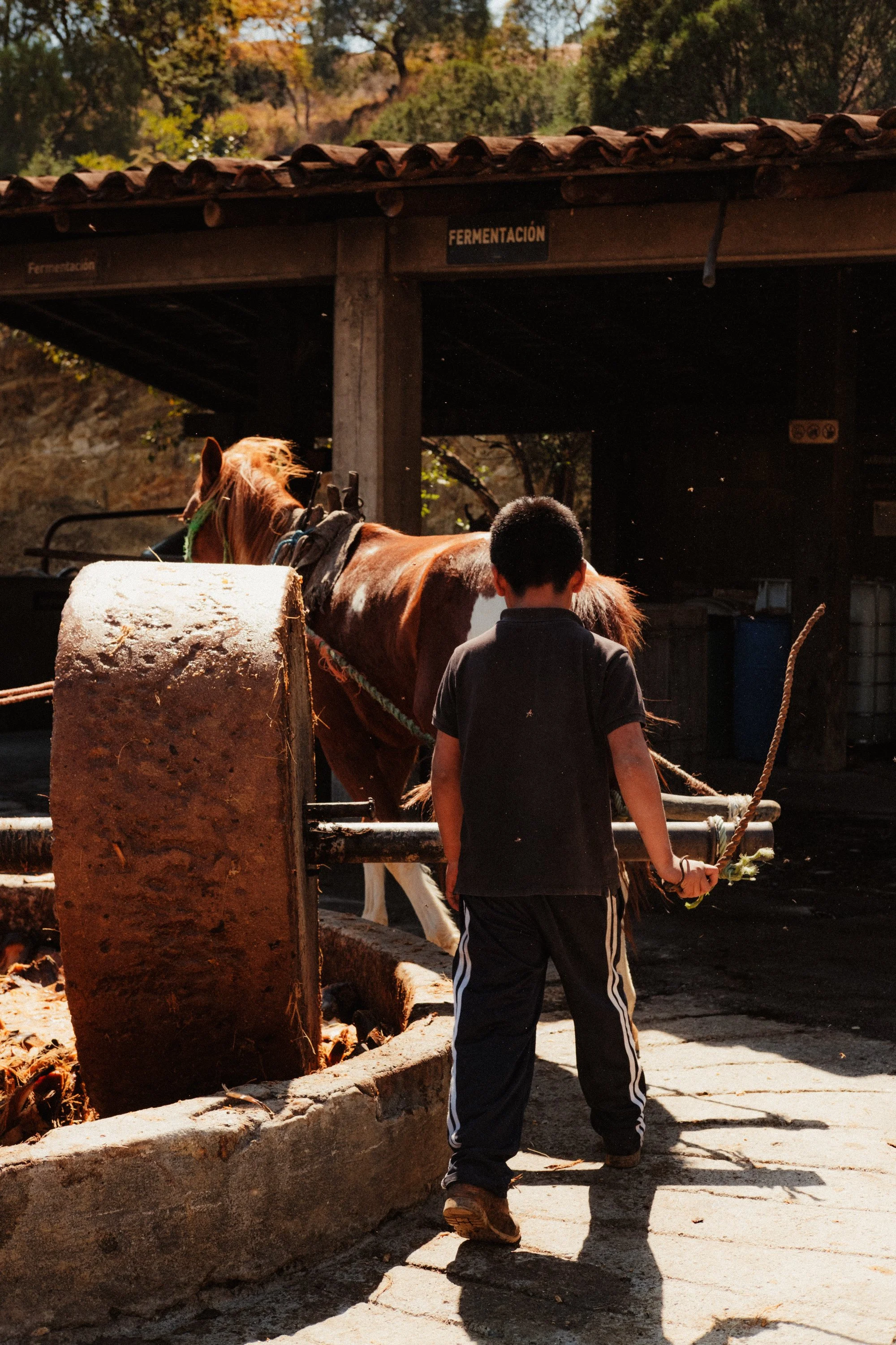 260103_MEZCAL-CONVITE_044.jpg