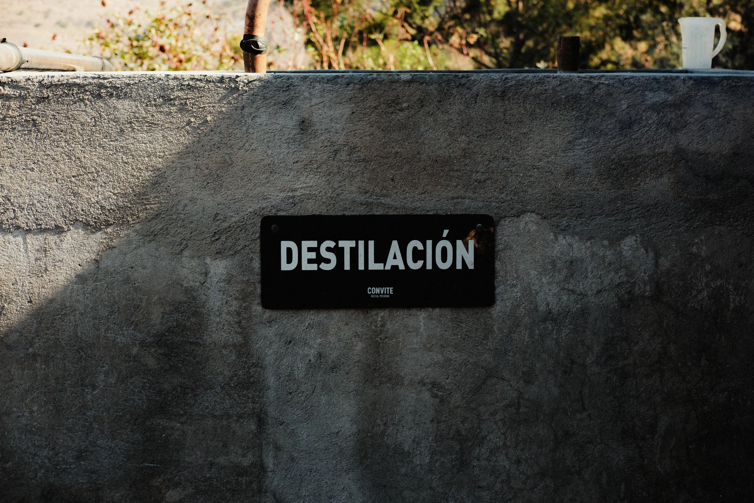 260103_MEZCAL-CONVITE_0168.jpg