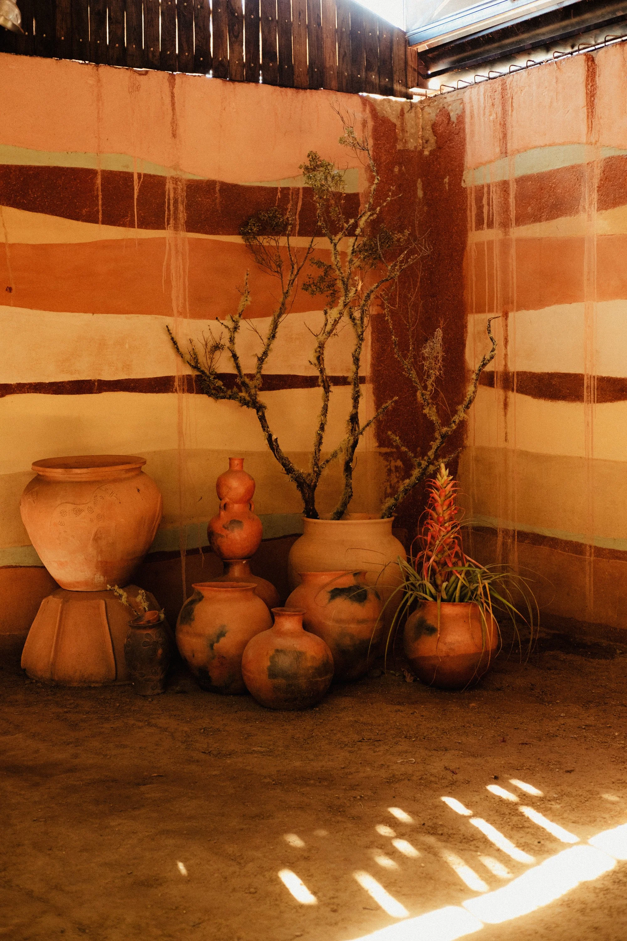 260104_ALFONSINA-COCINA_02.jpg