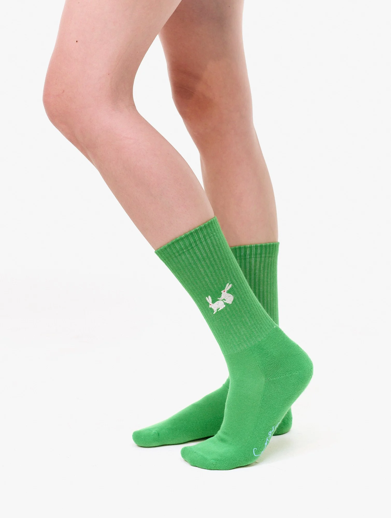 2025_06_17_Carne SS26 Ecom_0 1629.jpg