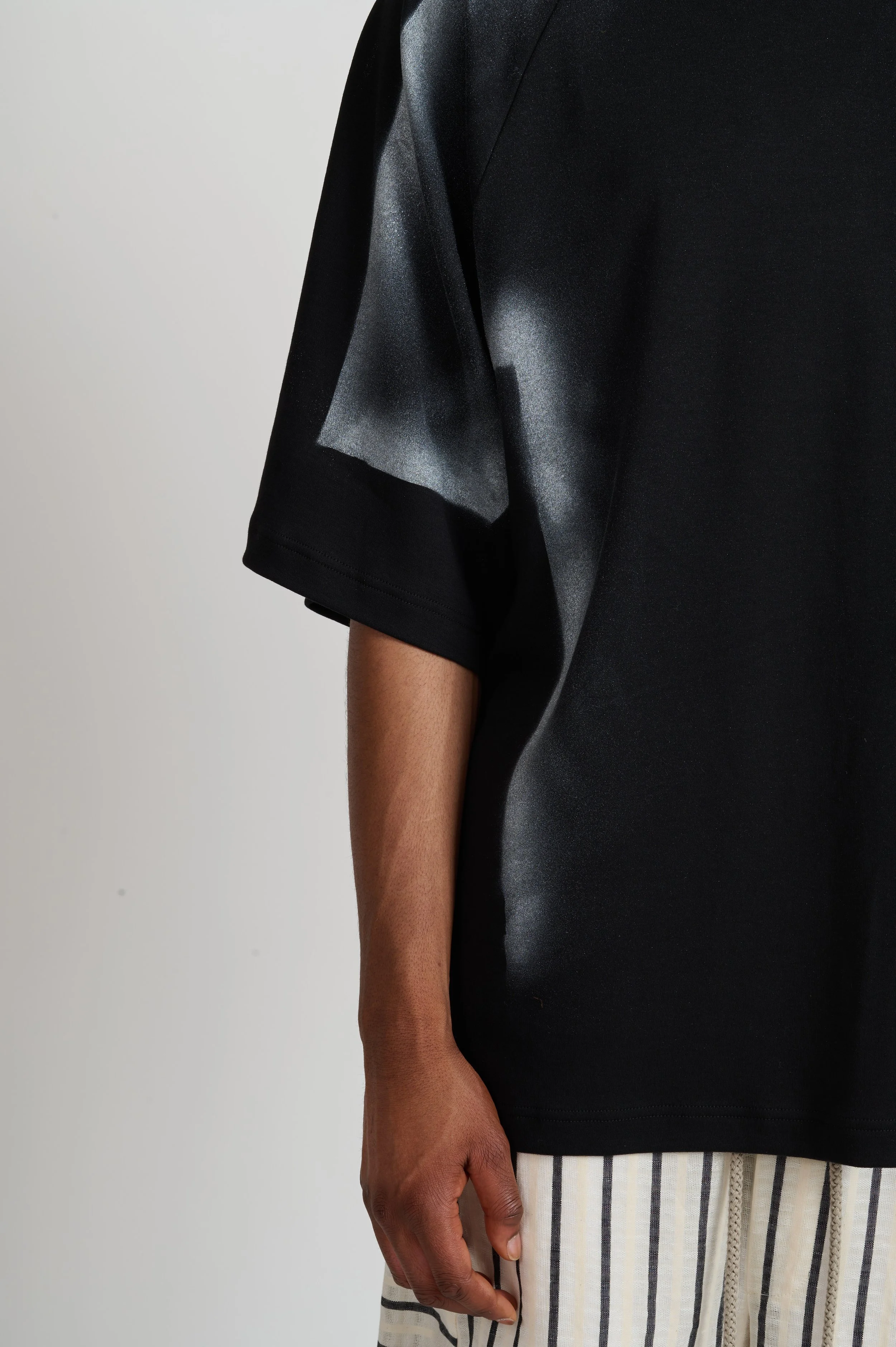 Rae_TSRP-2.1 detail1.jpg