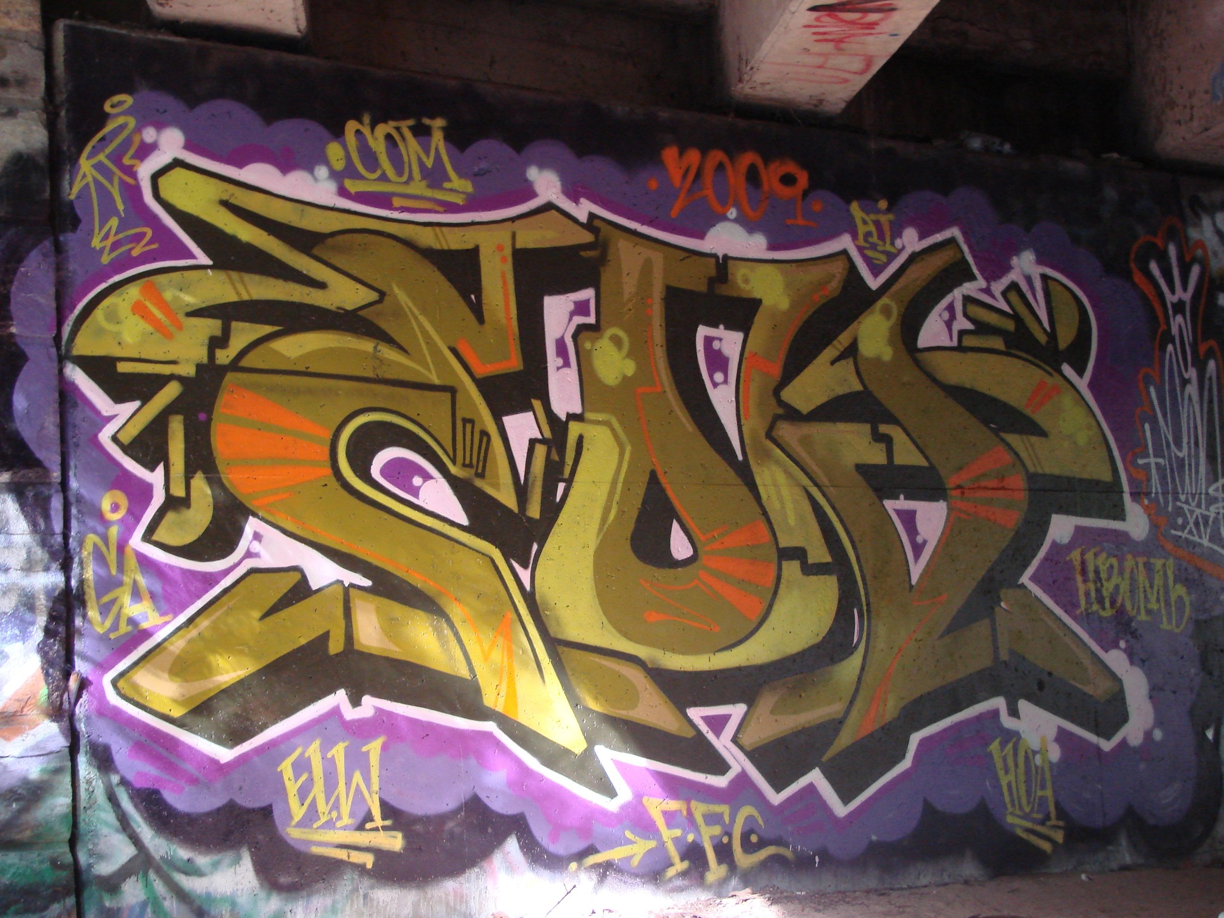 DSC07870.jpg