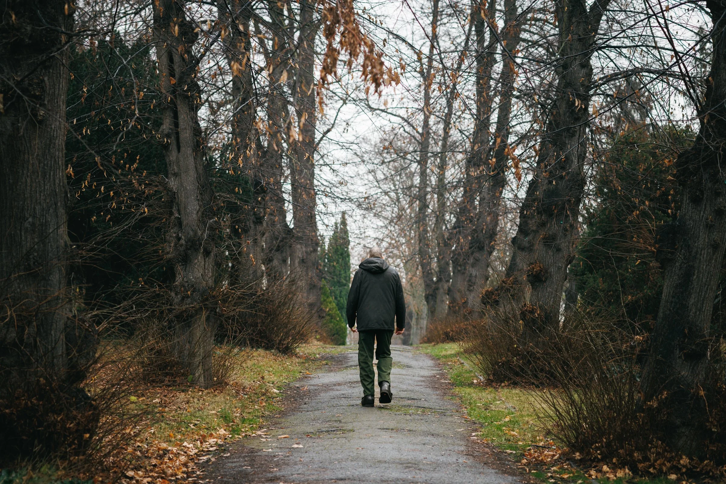 A person walking on a forest path during autumn, surrounded by tall trees with sparse leaves and fallen foliage on the ground.