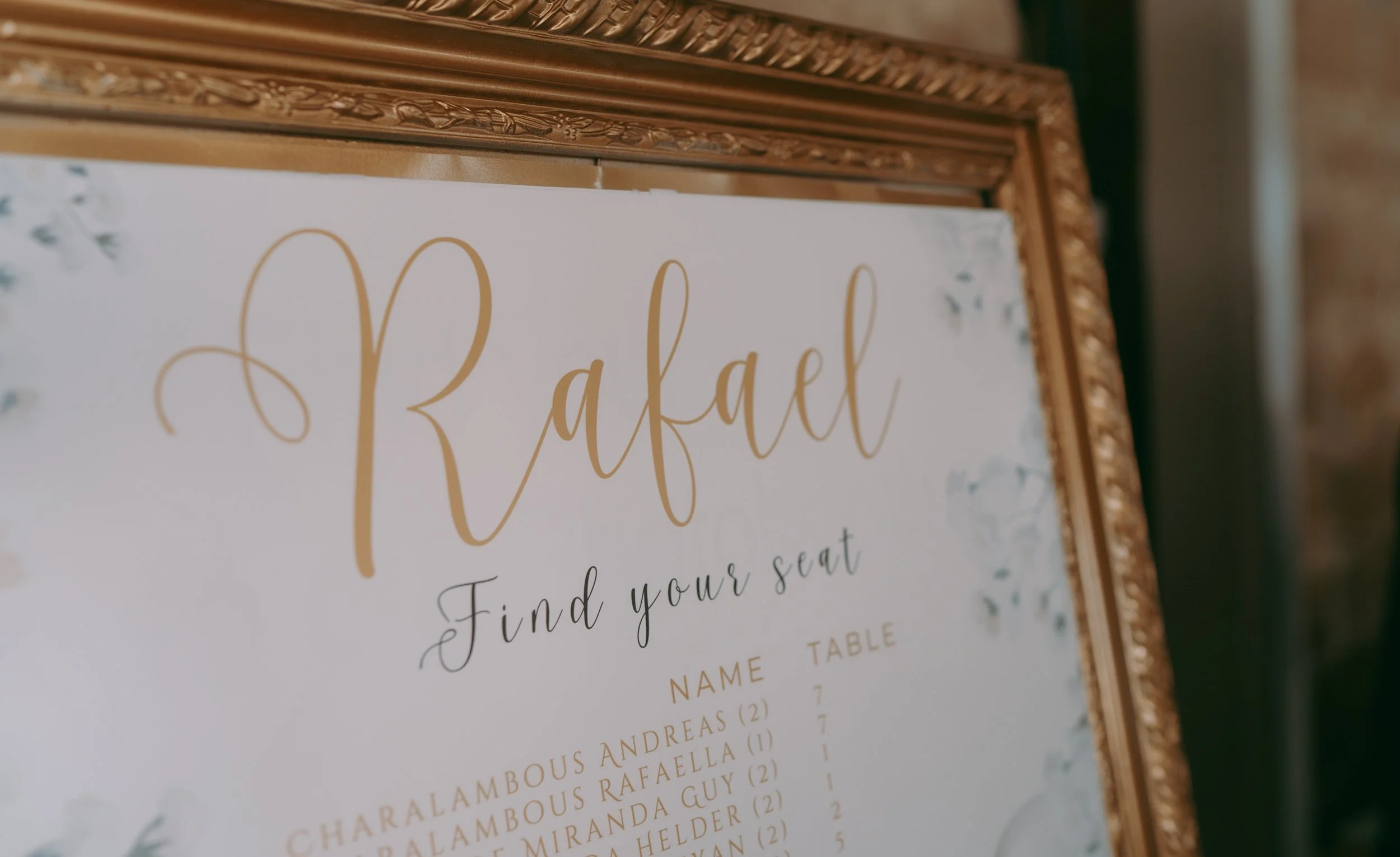 RAFAEL (316 of 380).jpg