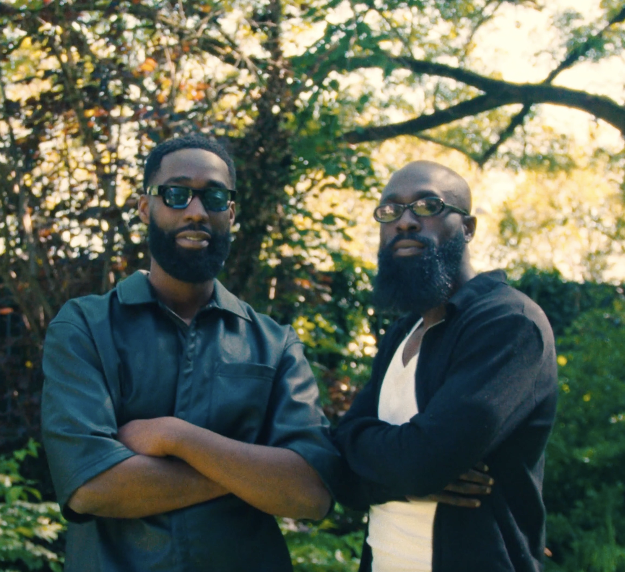 Ginger - Promotional Video