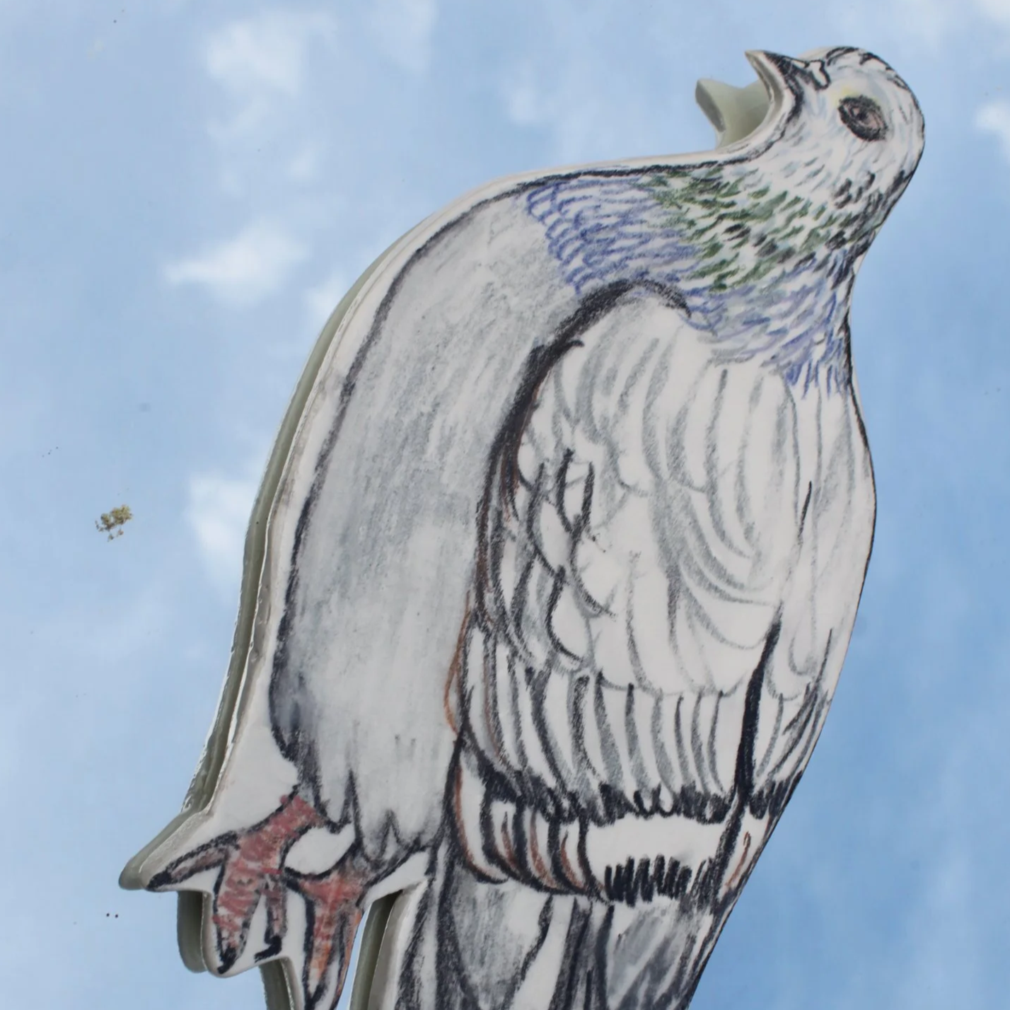 IMG_8225.png