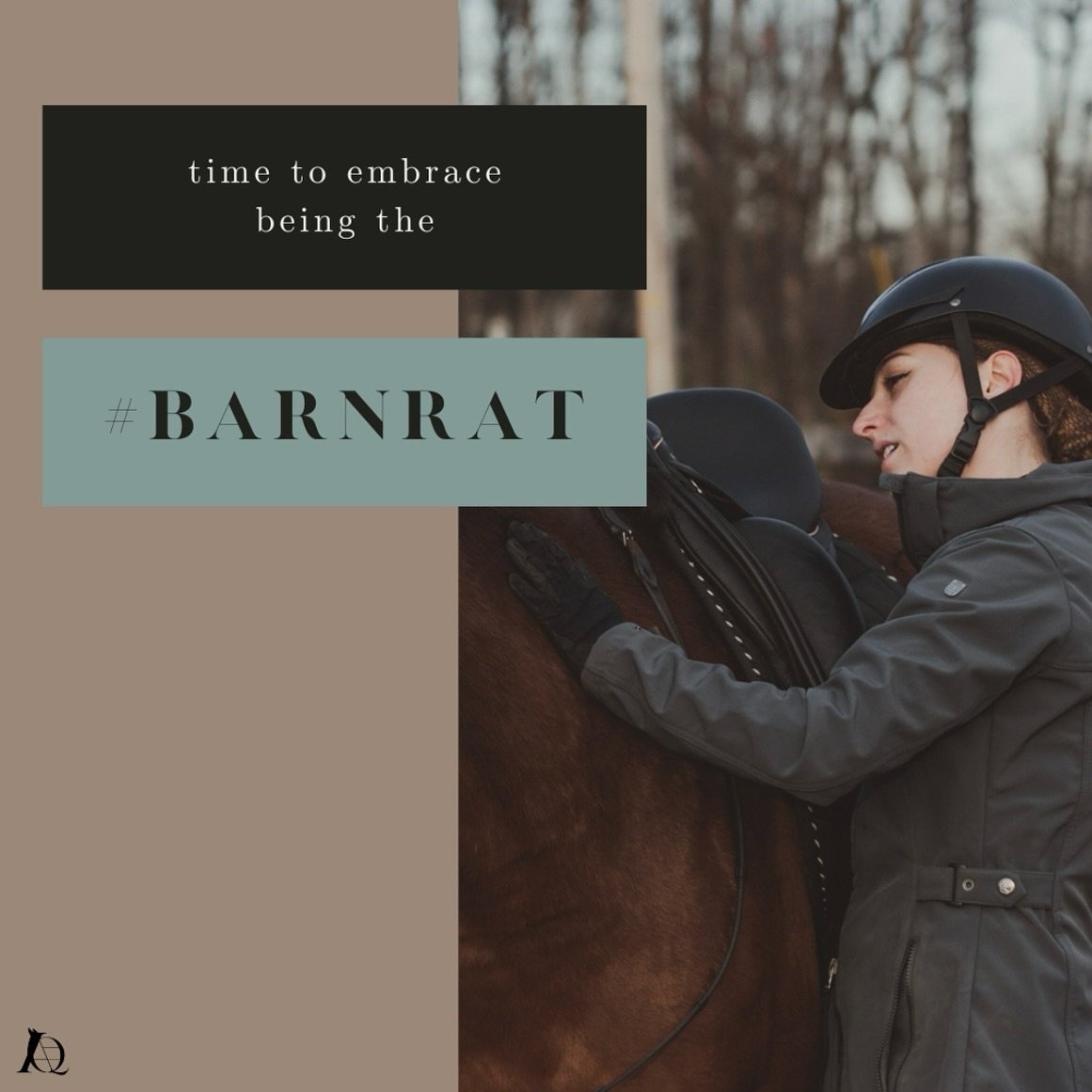 It is time to embrace being the barn rat.🐴🐭

In this episode of the &ldquo;Authentically Equestrian&rdquo; podcast, we talked about what it means to be a barn rat, so let me give you the TLDR. 😅

As an amateur, I know how easy it is to get stuck i