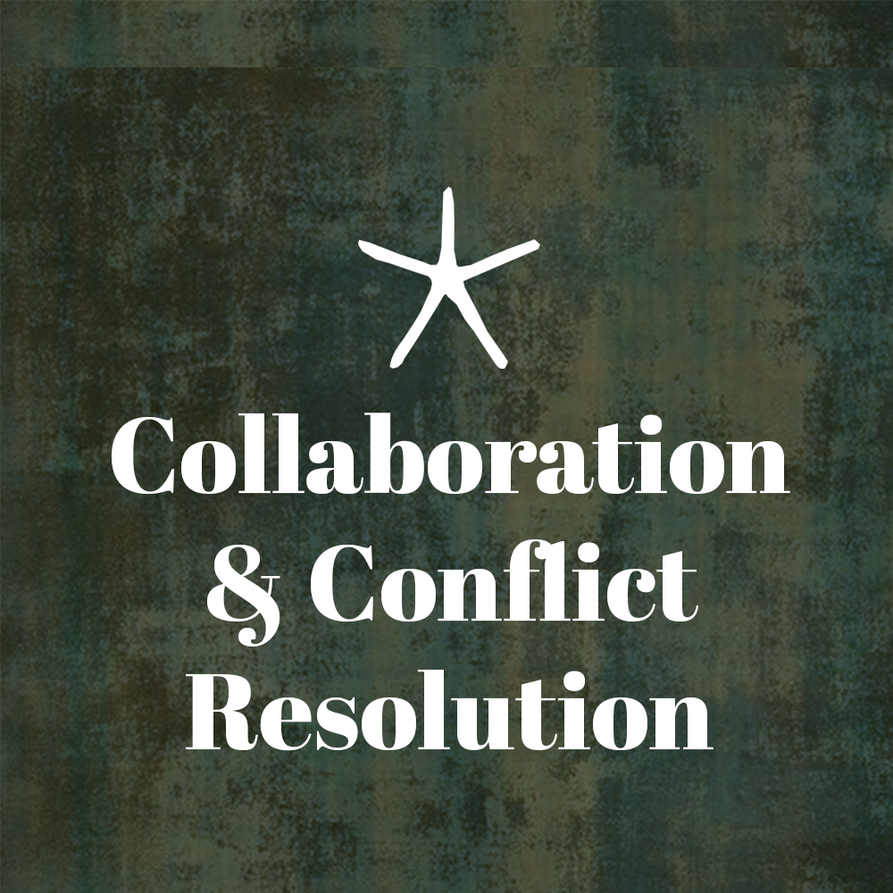 Collaboration & Conflict Resolution