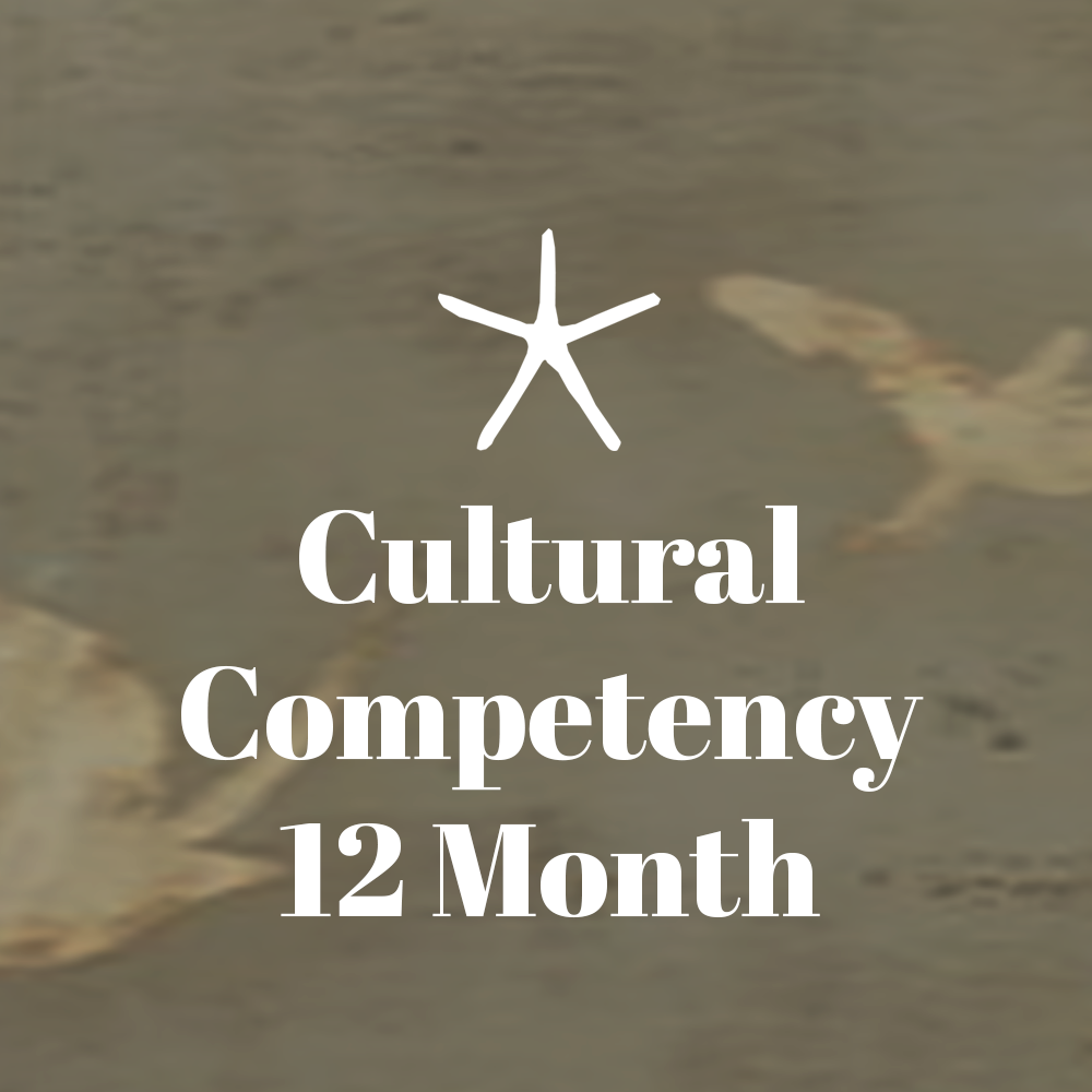 Cultural Competency Leadership Consulting — 12 Months