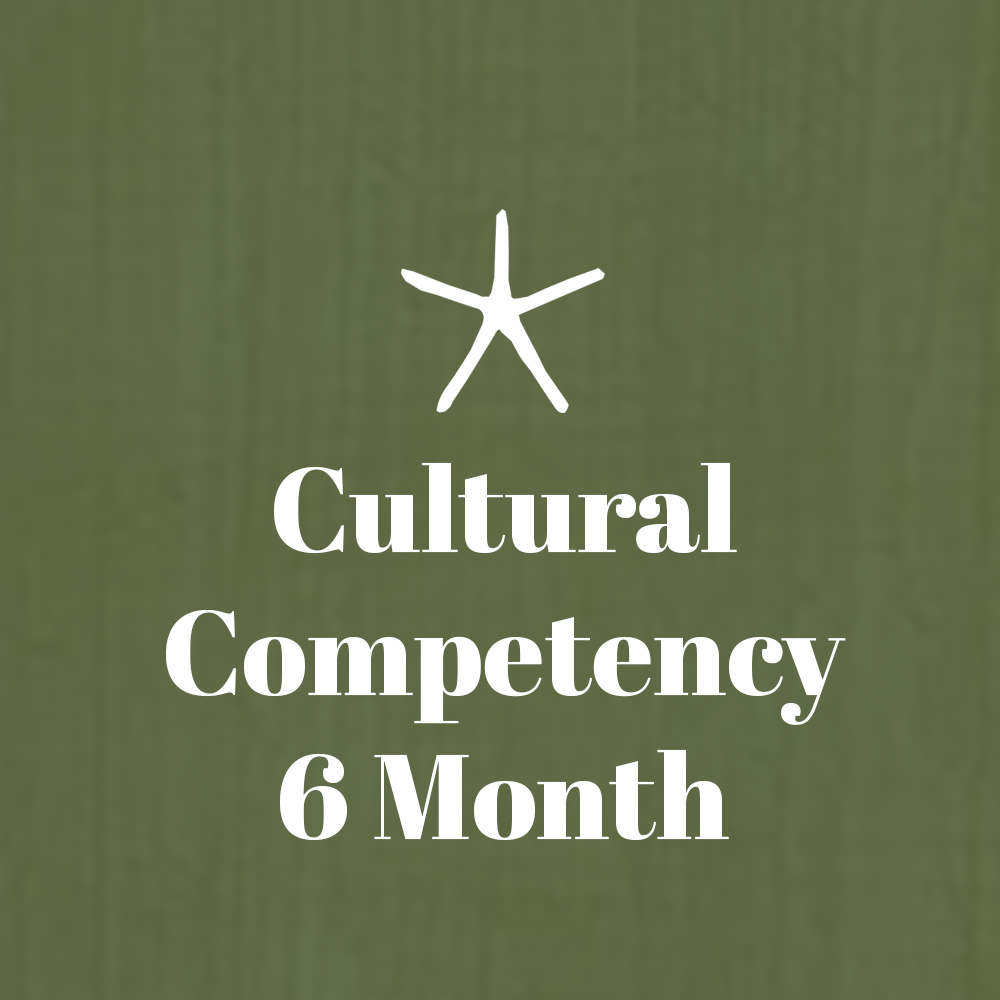 Cultural Competency Leadership Consulting — 6 Months
