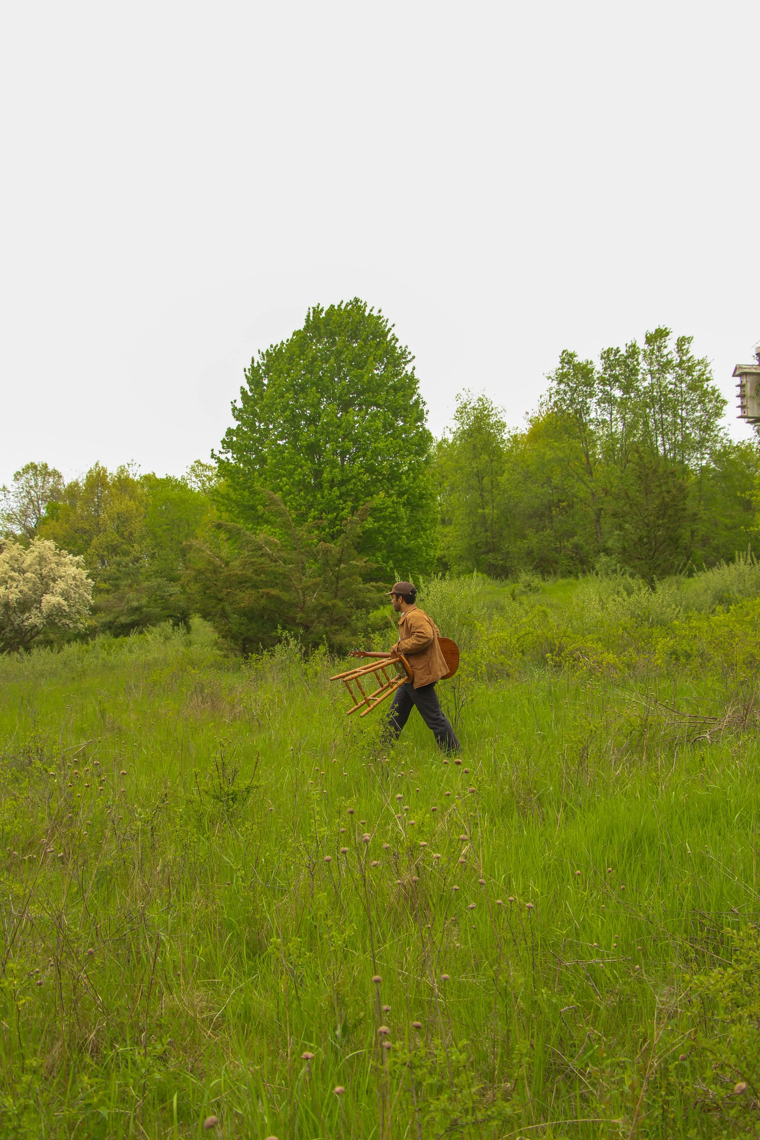 Walking with stool.jpg