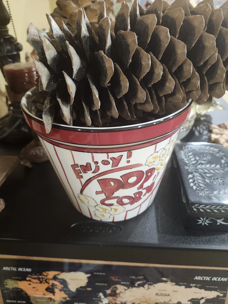 0366_841559851_zm.webp