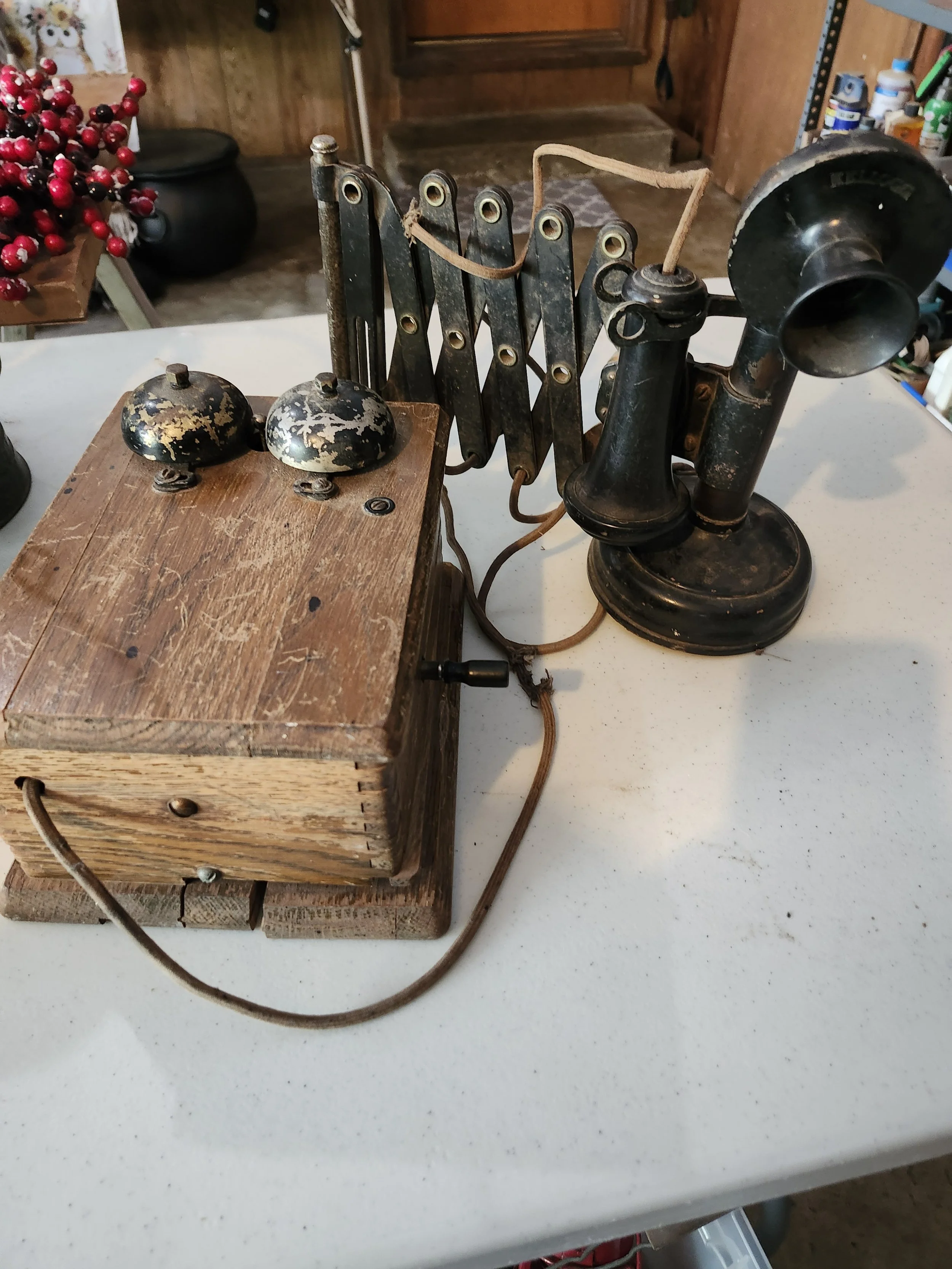 20260427_181116.jpg