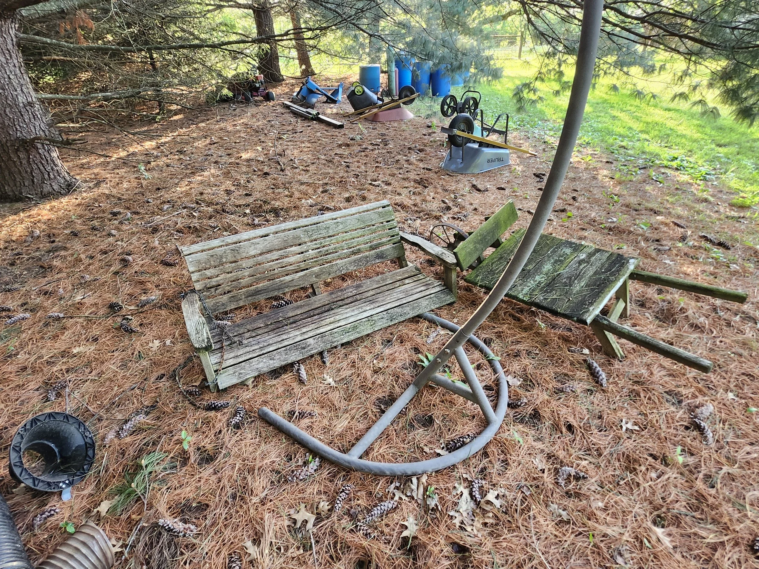 20260427_190243.jpg