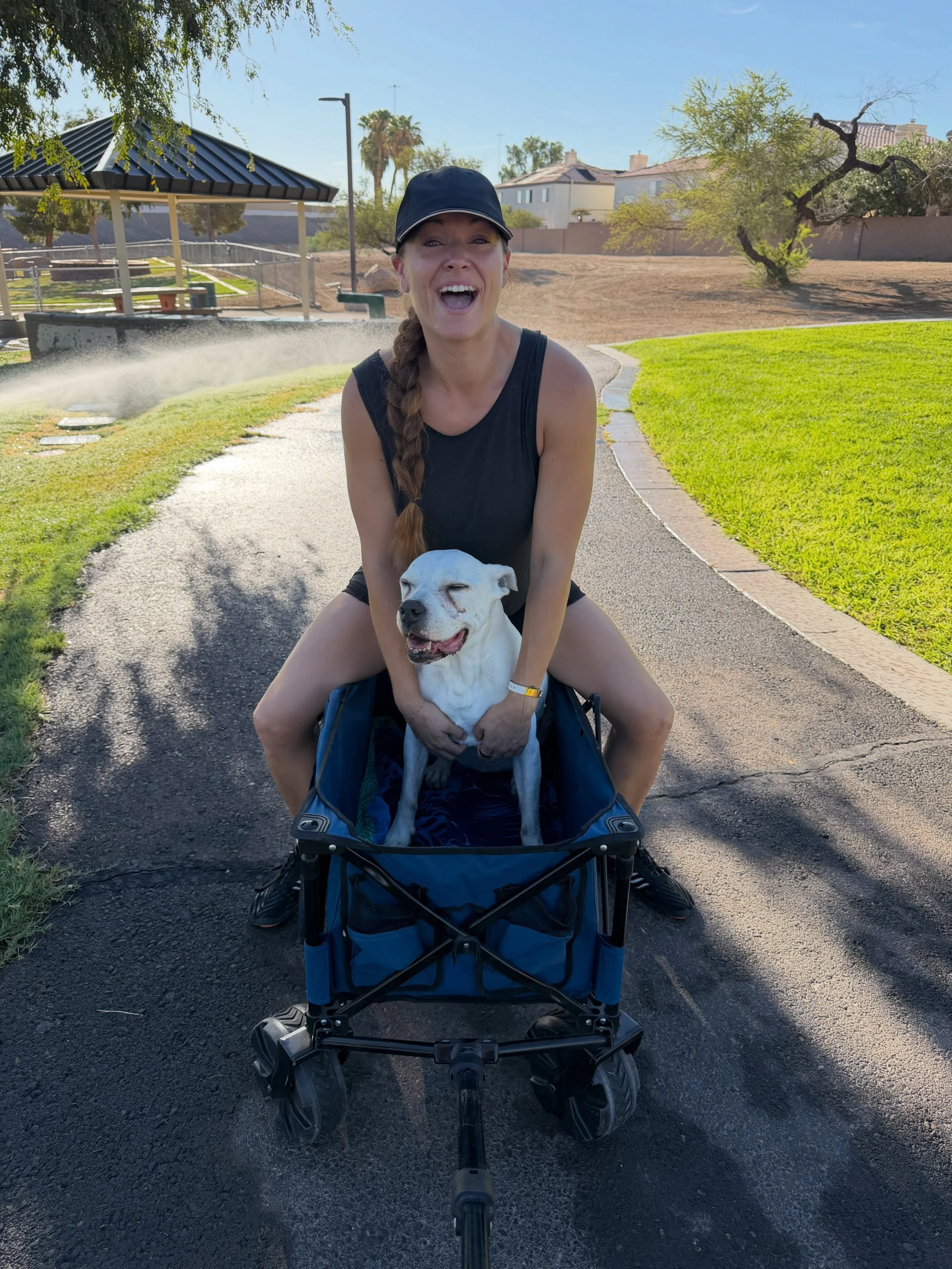 Turns out grief and freedom can exist at the same time.

A few weeks ago, I lost my fur baby &ndash; Goose, and it still hurts. For more than 20 years, I&rsquo;ve had at least one in my life.  A fur baby to get up for, to feed, to check on, quietly s