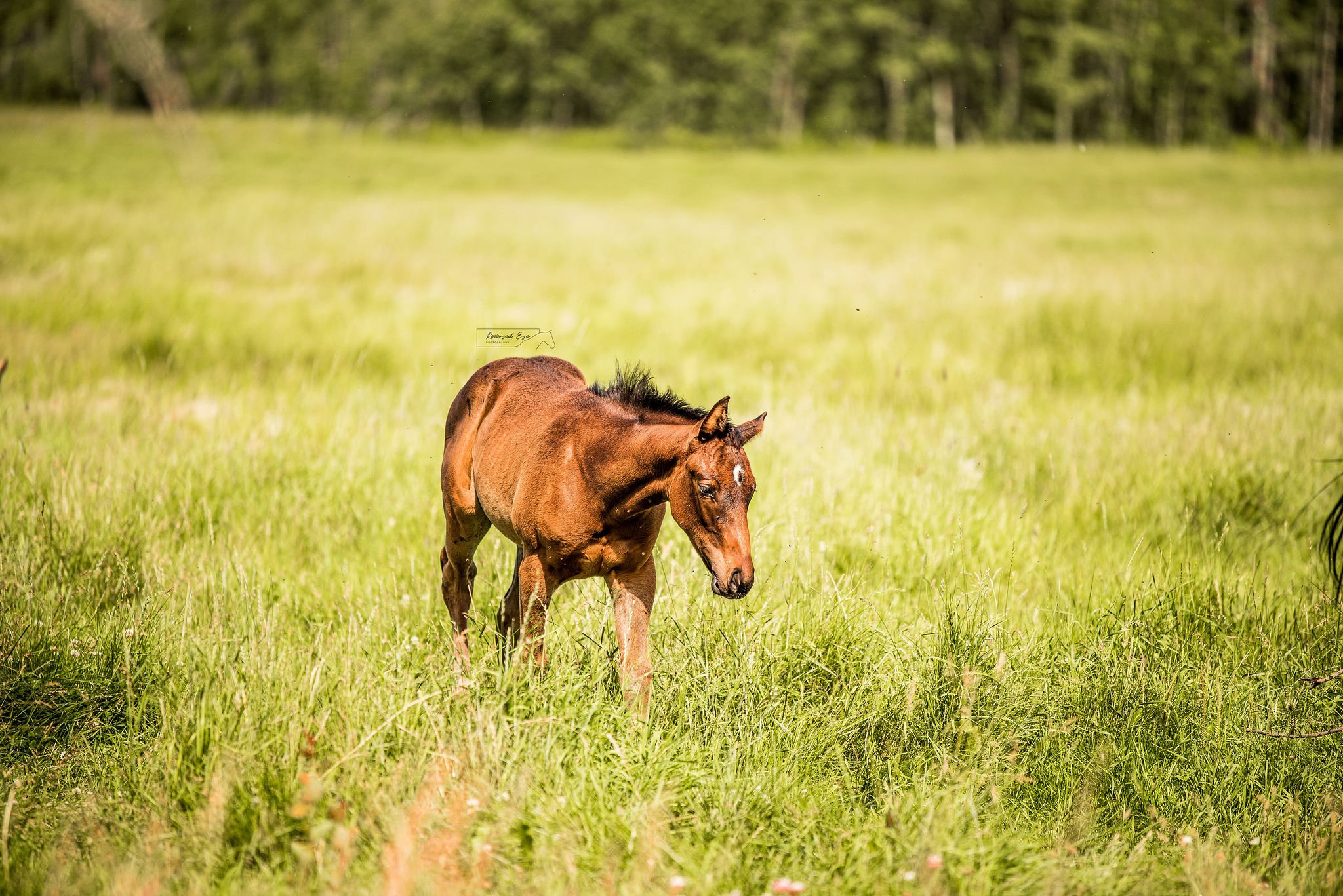DSC_5026-Edit.jpg