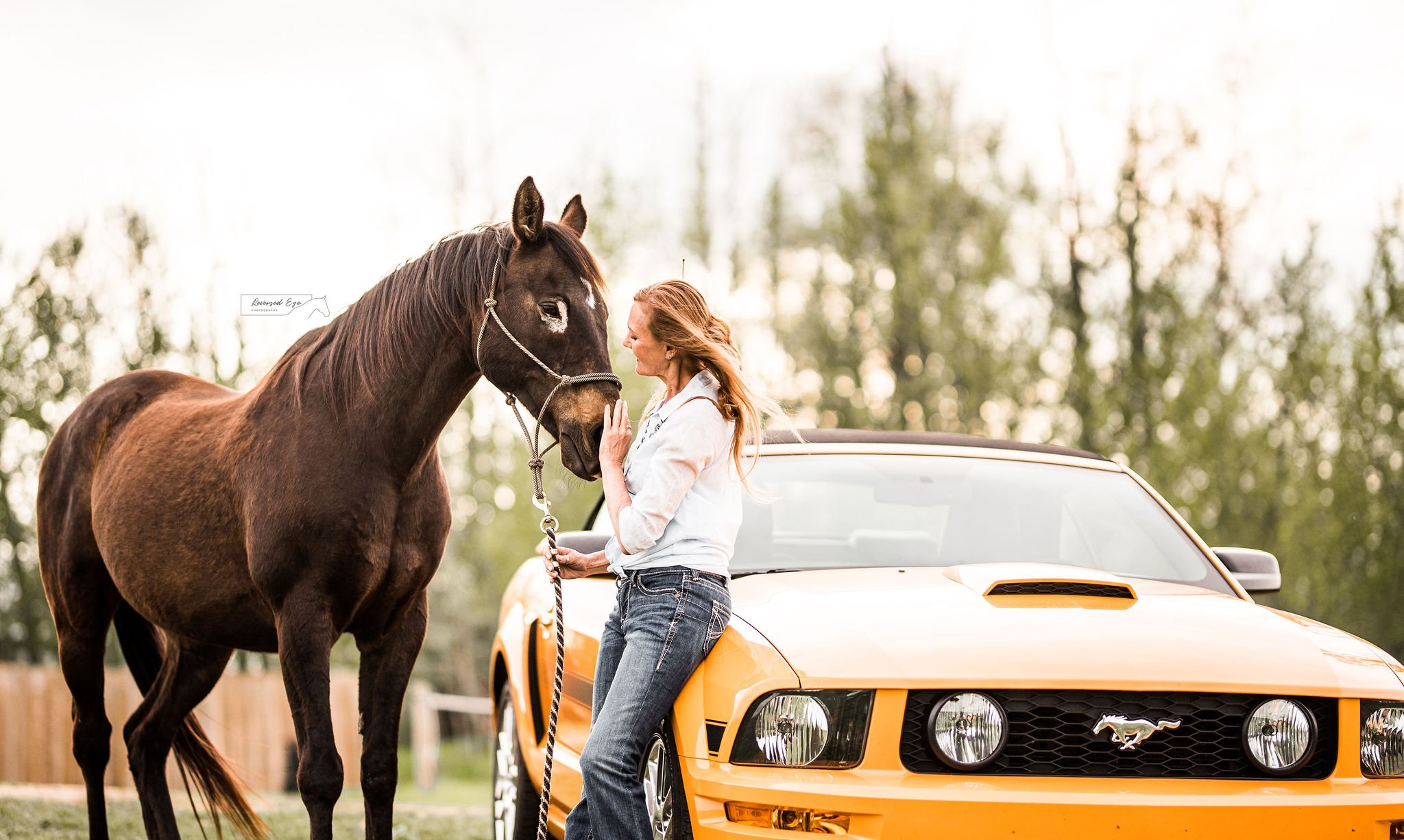 Horse &amp; Rider Portrait in Calgary, Alberta