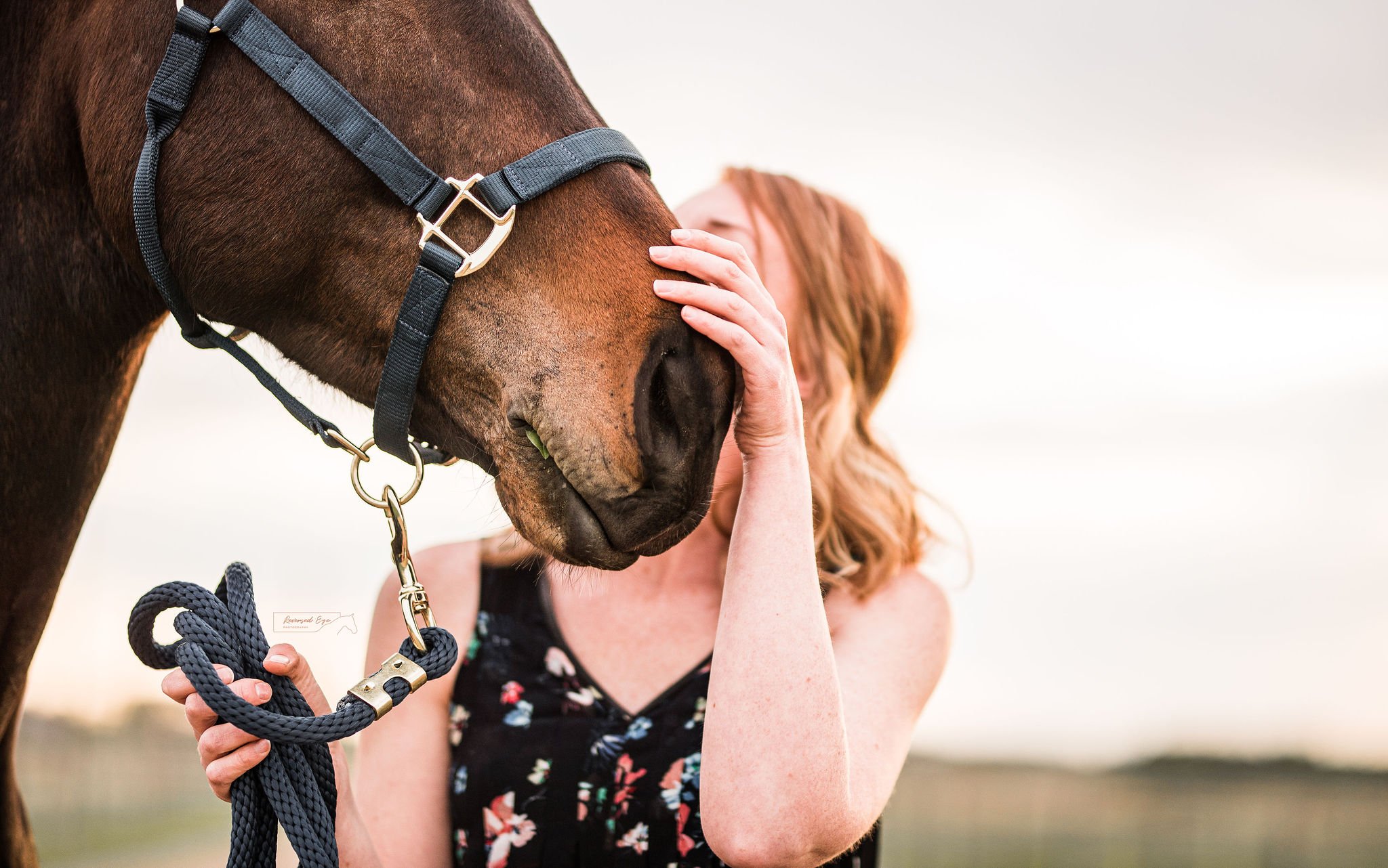 Alberta Equestrian Photography