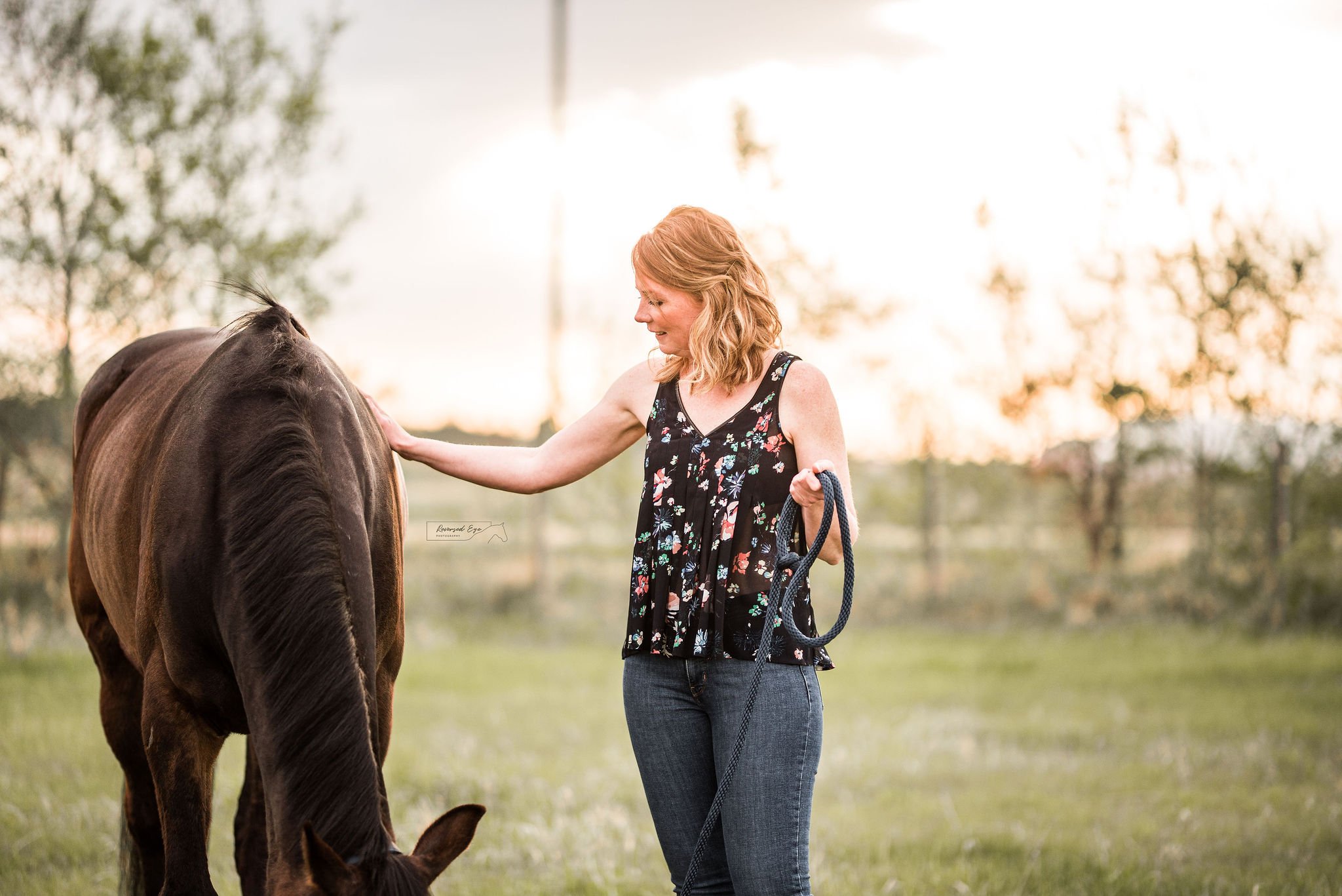Woman and Bay horse in field in Alberta