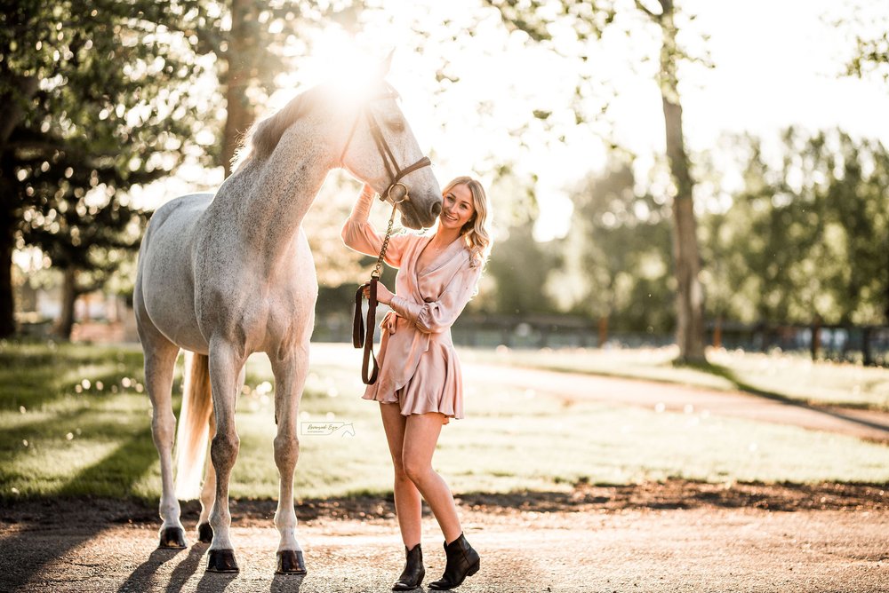 Sunset Horse and Rider Portrait with Grey Horse at Rocky Mountain Show Jumping in Calgary