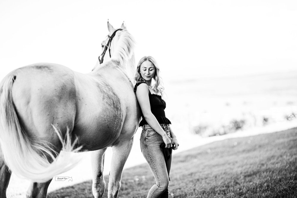 Sunset Horse and Rider Portrait with Grey Horse at Rocky Mountain Show Jumping in Calgary