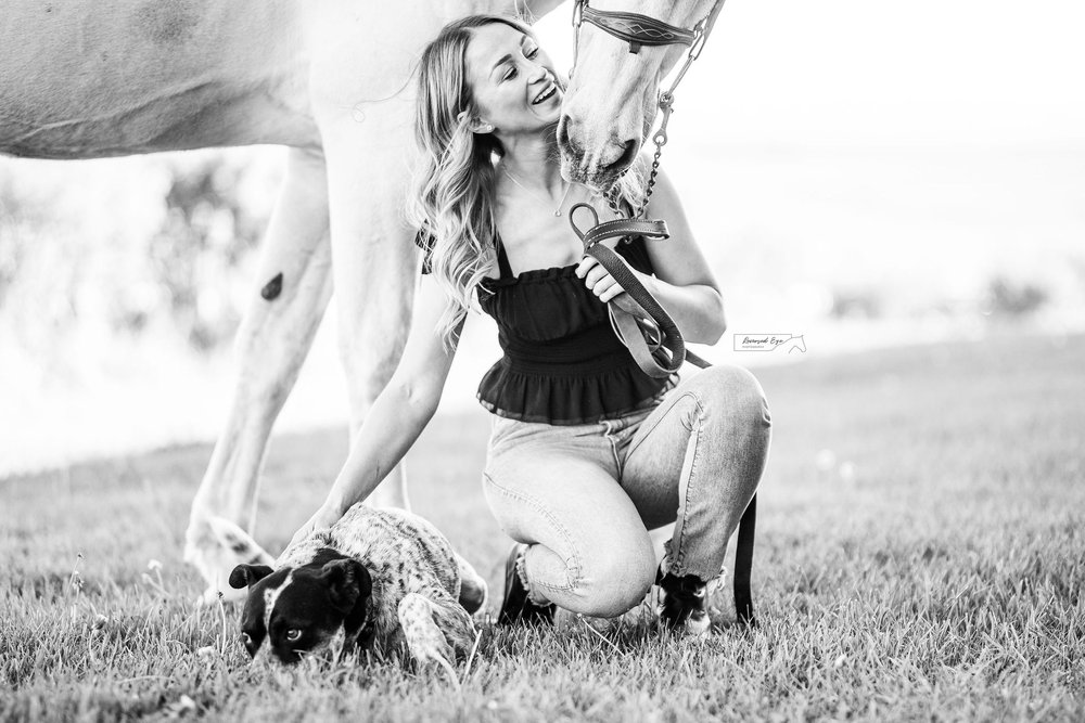 Sunset Horse and Rider Portrait with Grey Horse at Rocky Mountain Show Jumping in Calgary