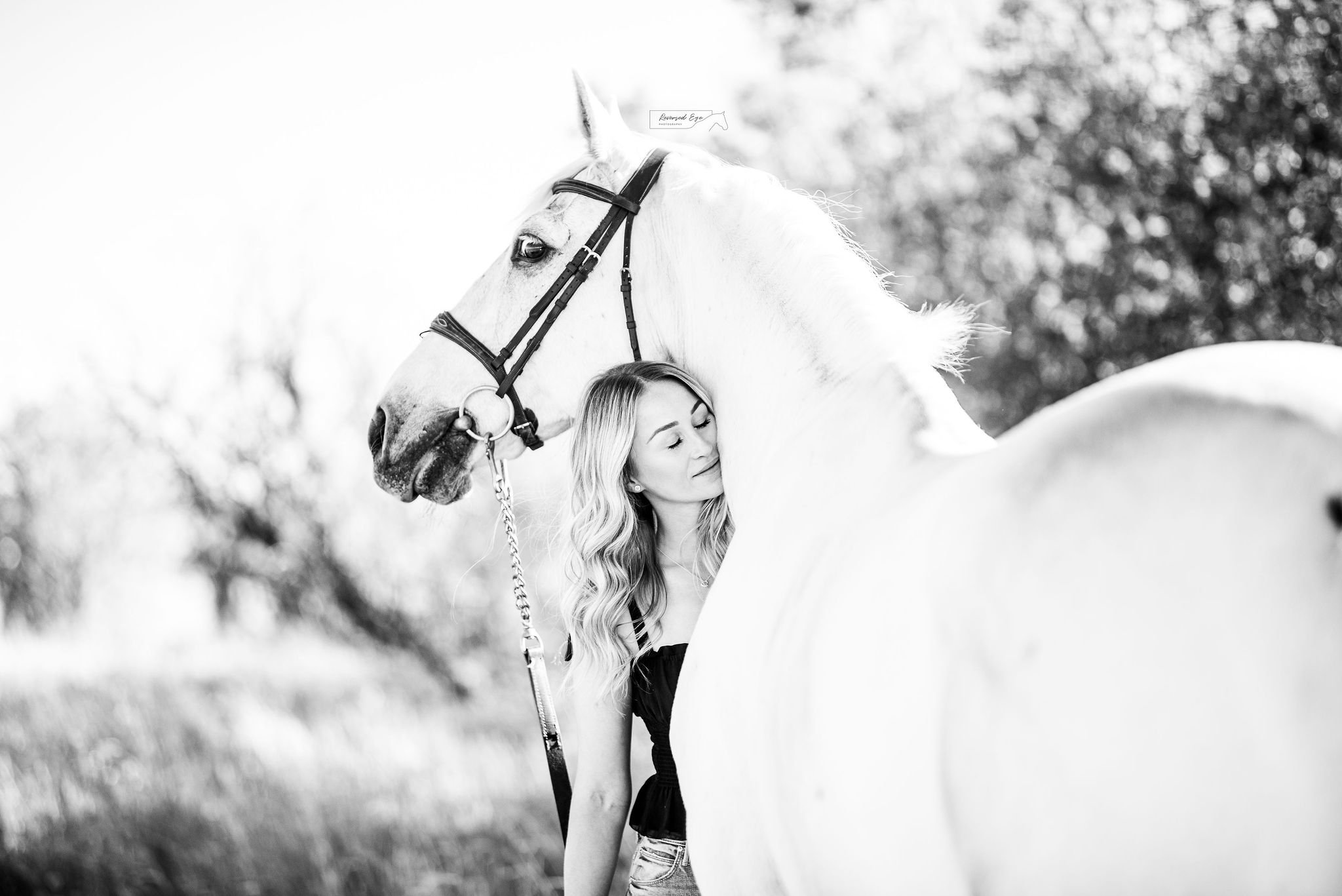 Sunset Horse and Rider Portrait with Grey Horse at Rocky Mountain Show Jumping in Calgary