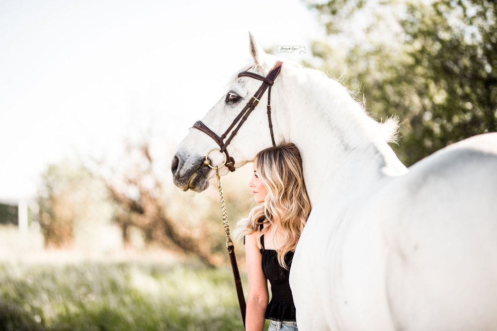 Sunset Horse and Rider Portrait with Grey Horse at Rocky Mountain Show Jumping in Calgary