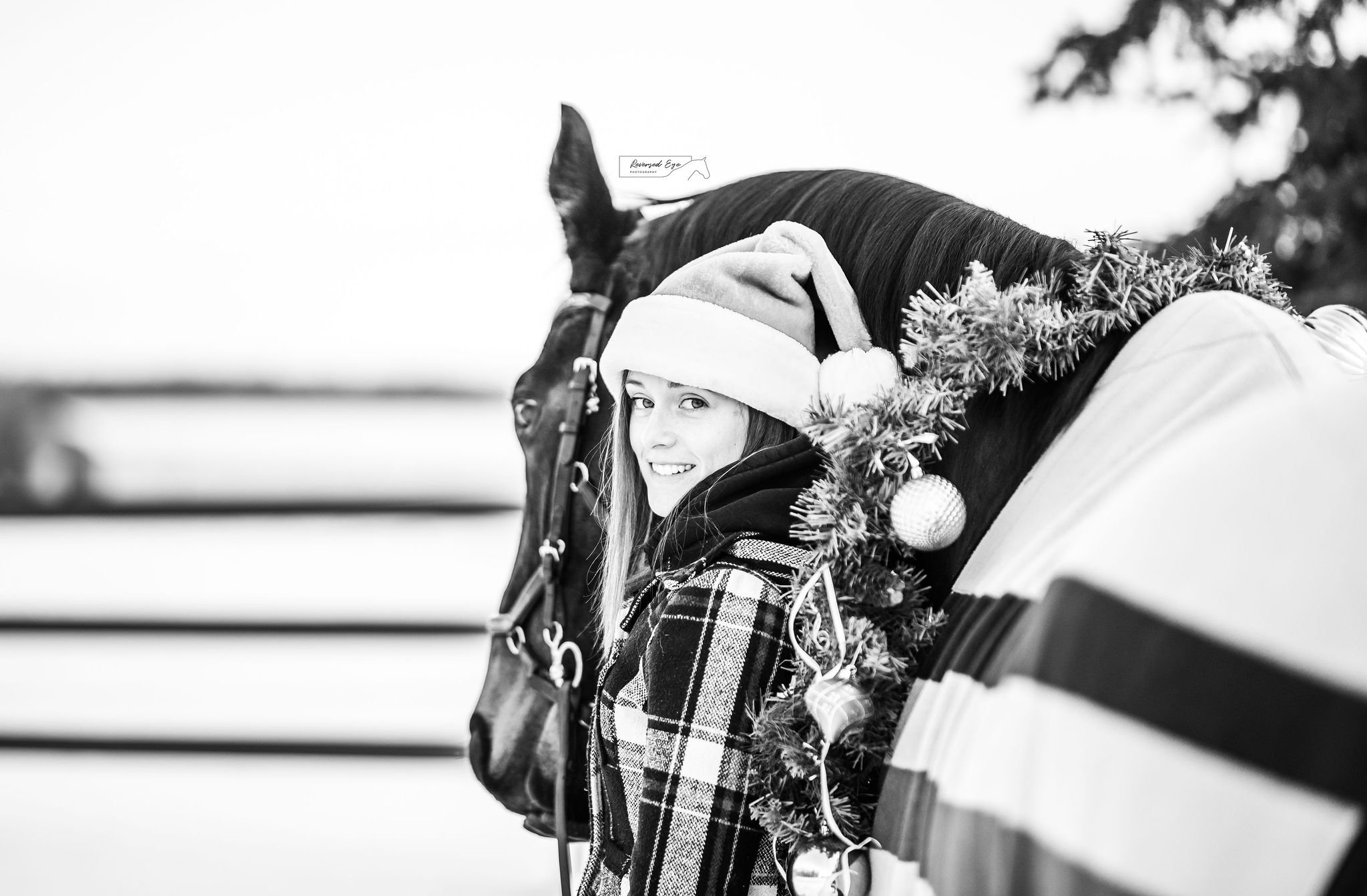 Equestrian Christmas Photos