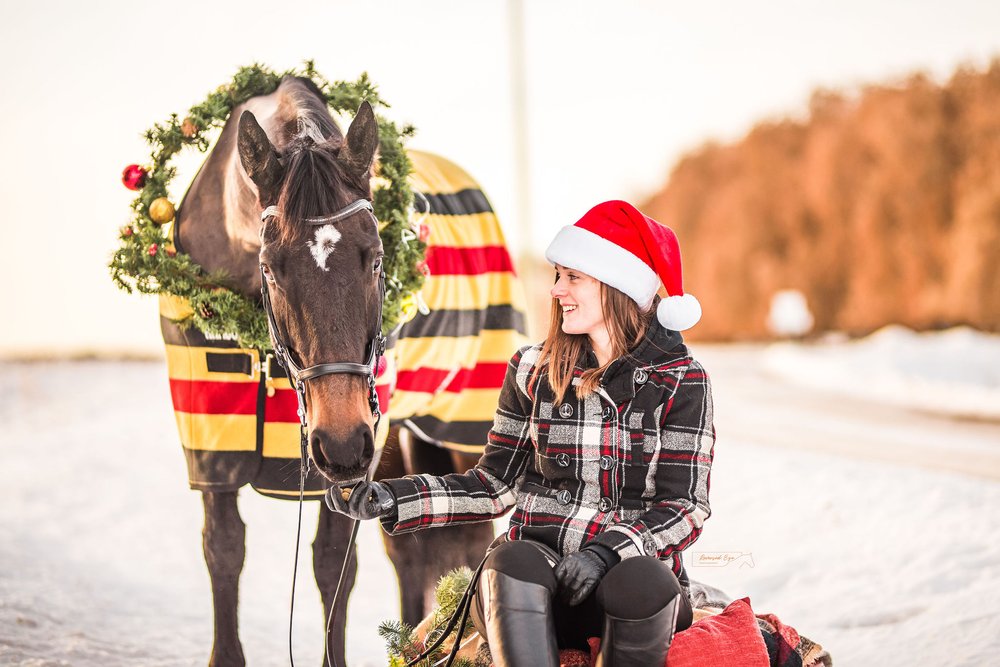 Calgary Equestrian Photography