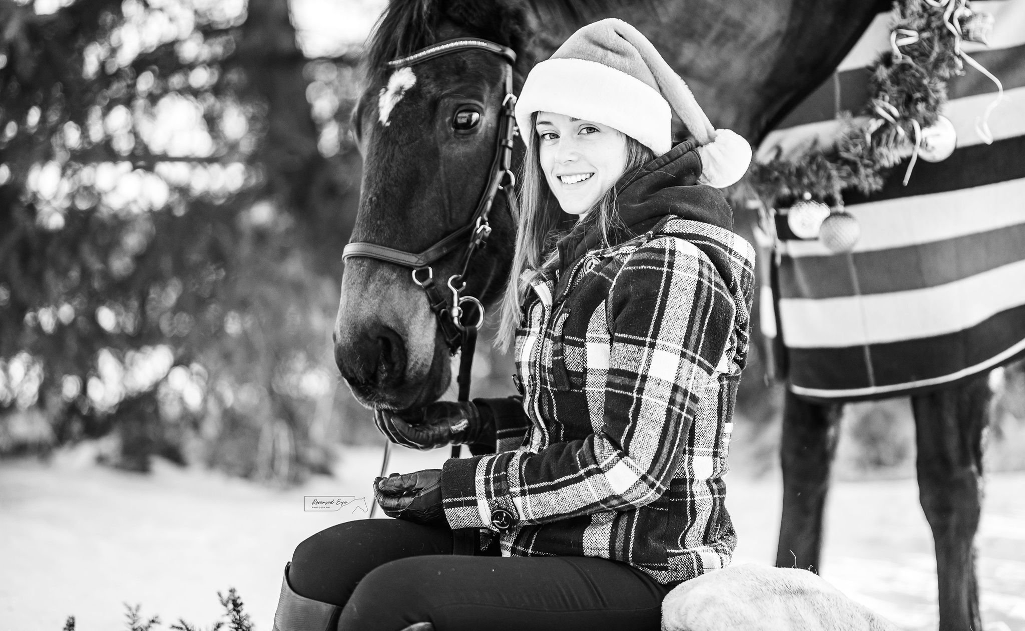 Equestrian Holiday Photography