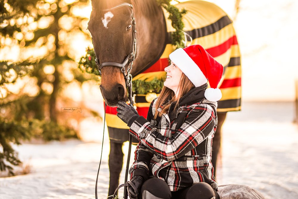 Winter Equestrian Photography