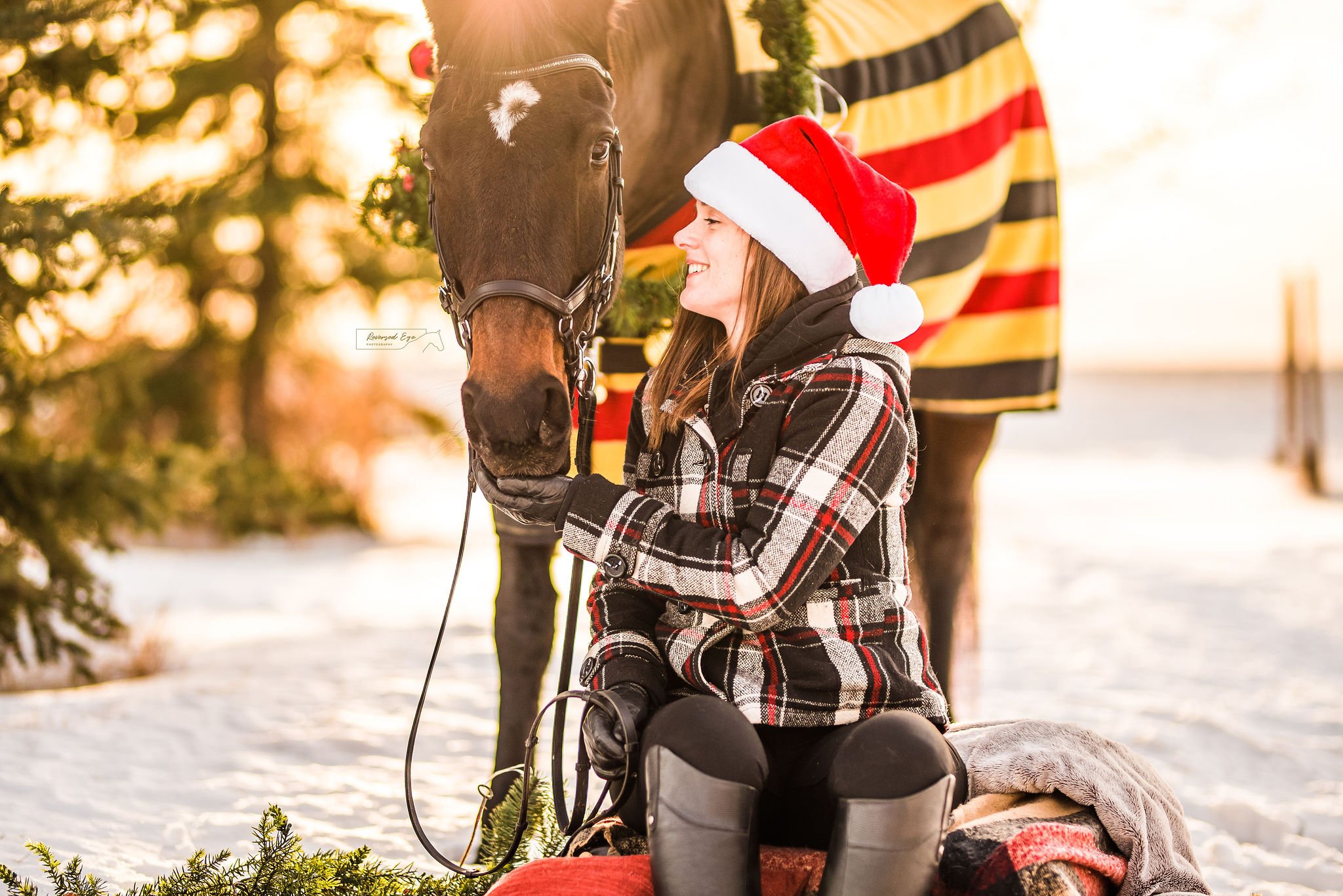 Equestrian Photographer in Calgary Area