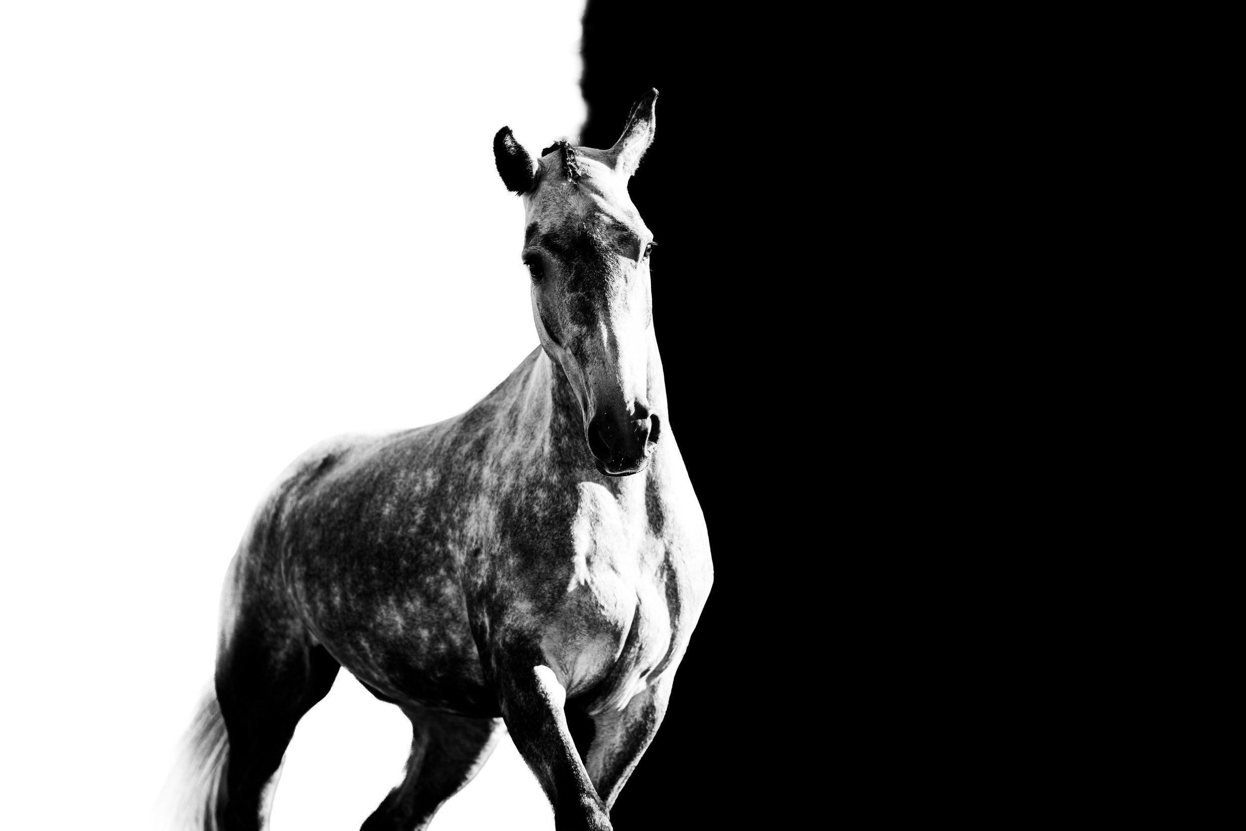 Make Room for Growth (Copy) (Copy) (Copy) (Copy) (Copy) (Copy) (Copy)