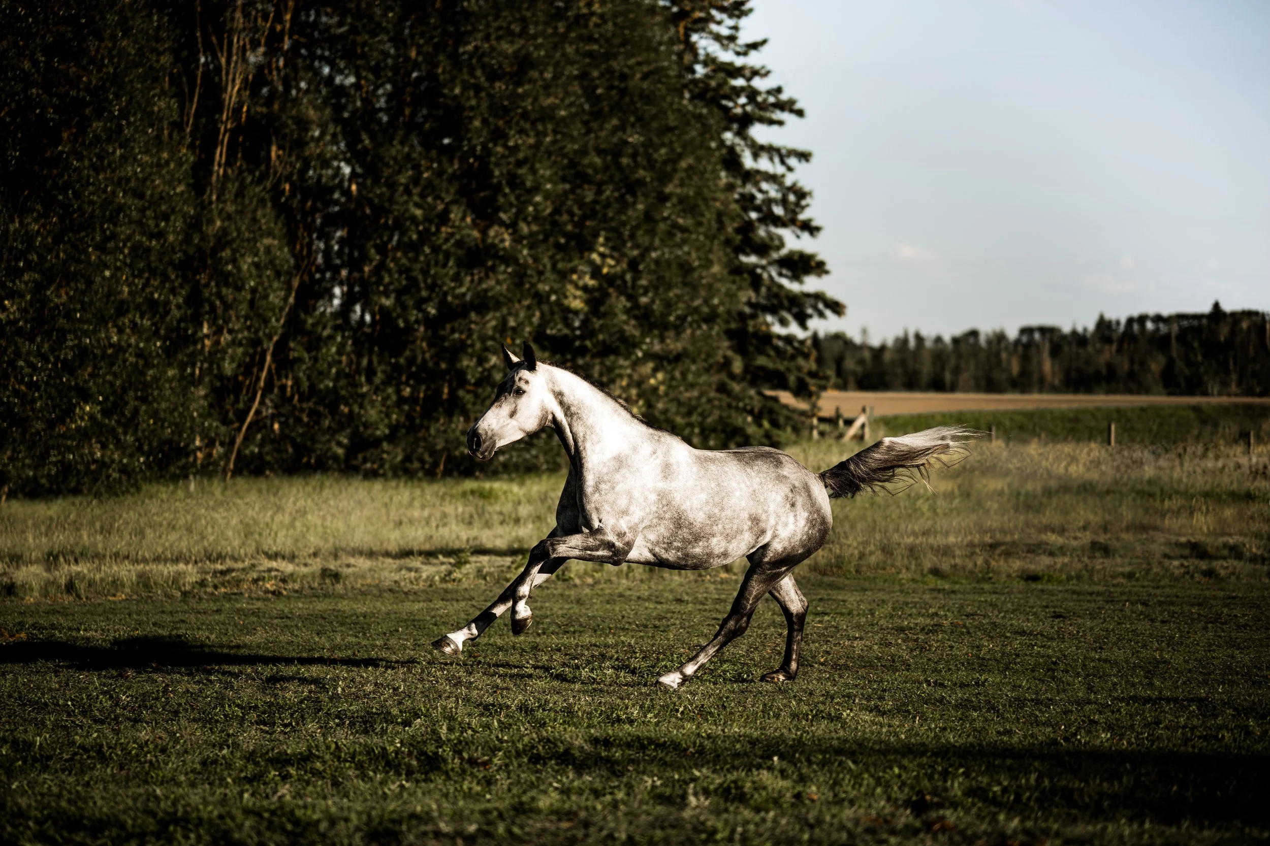 Small Steps Create Big Shifts