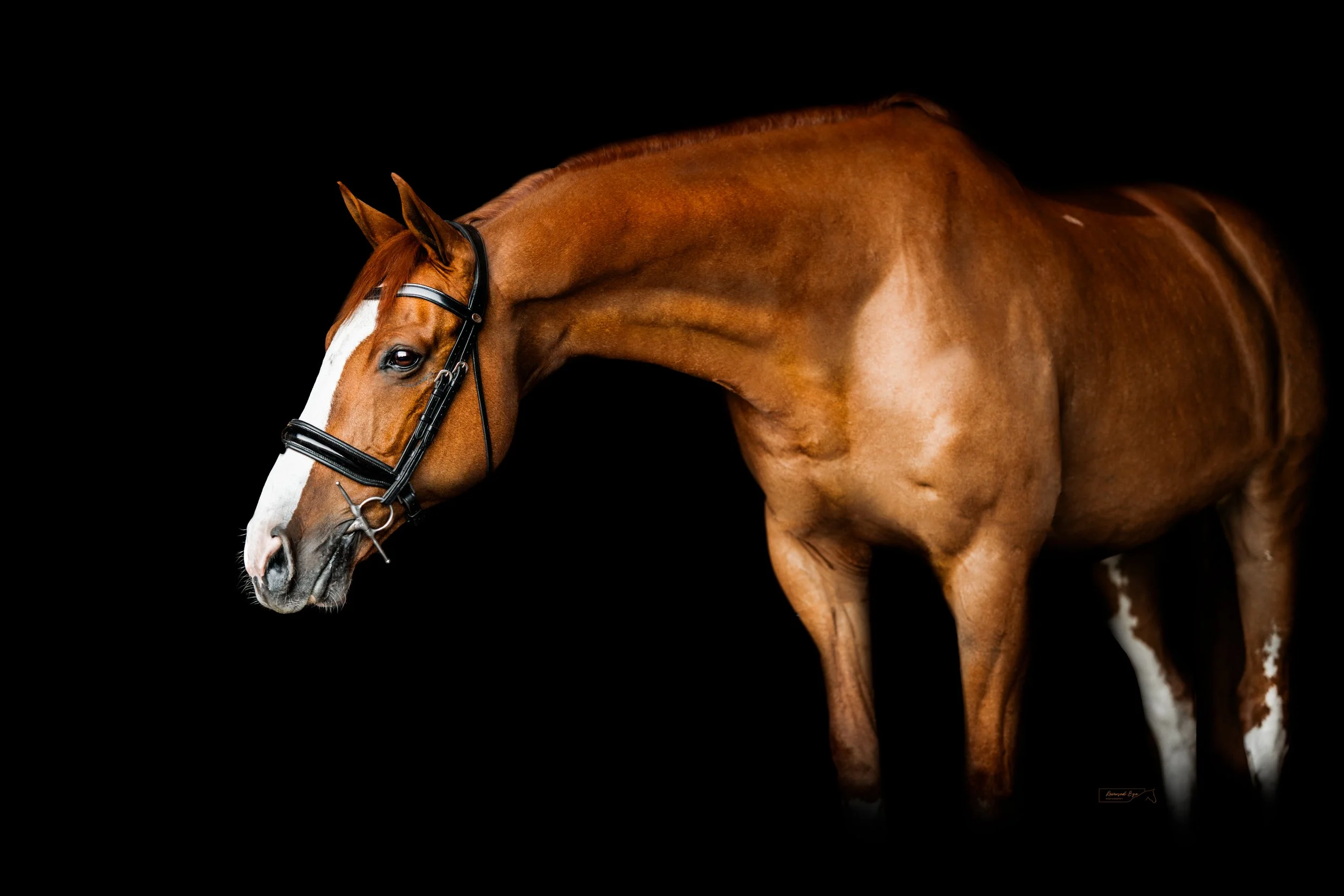 Make Room for Growth (Copy)