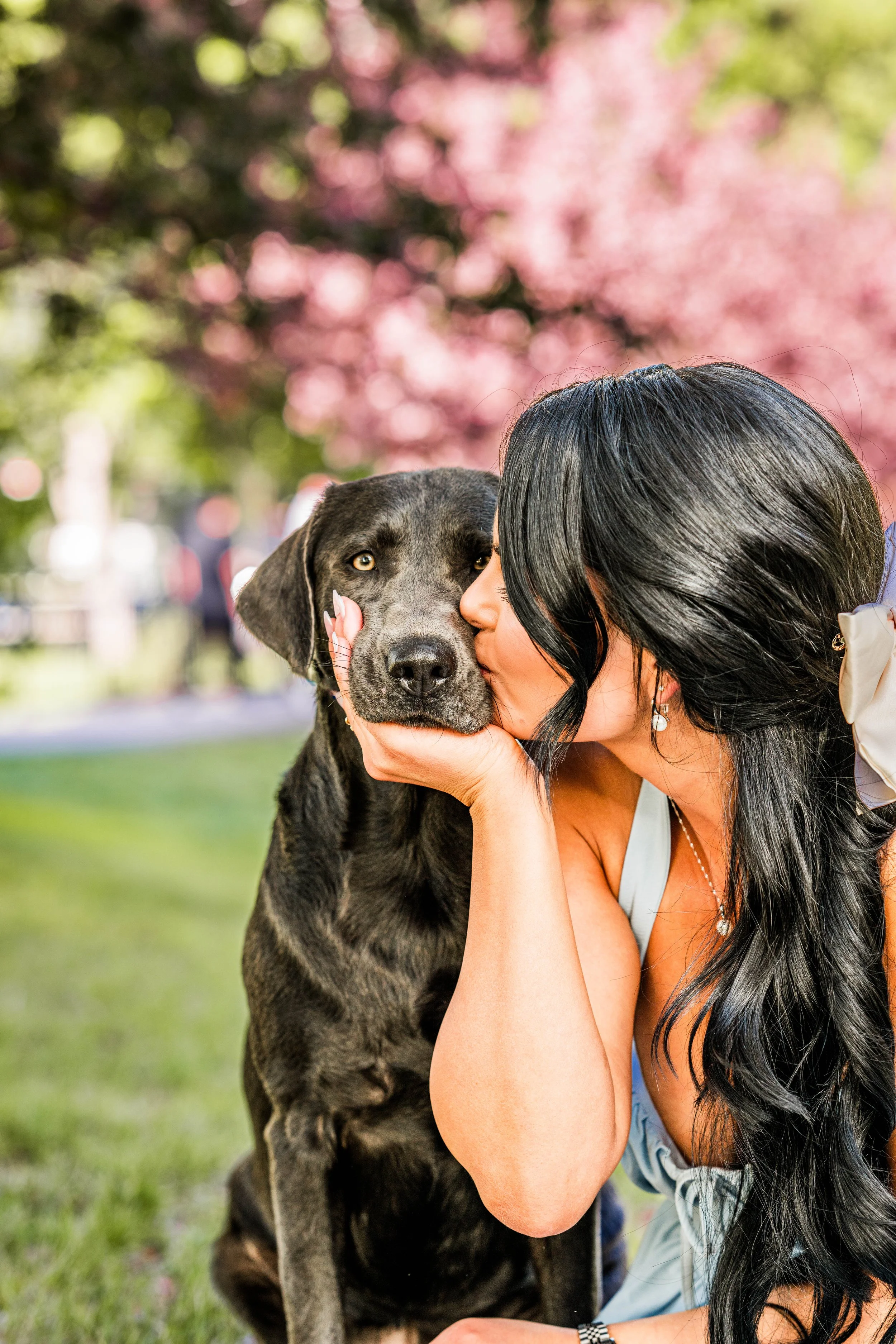 Mercedes &amp; Luna | Canine Blossom Mini Session | Calgary