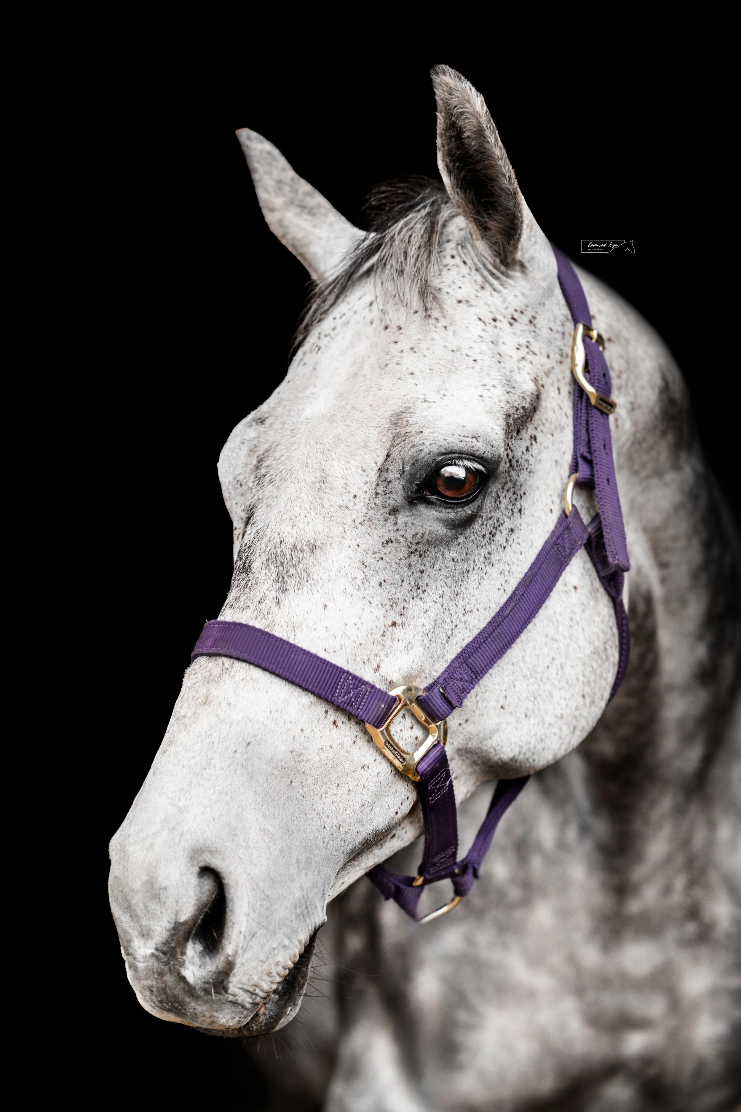 DSC_3761-Edit-Edit.jpg