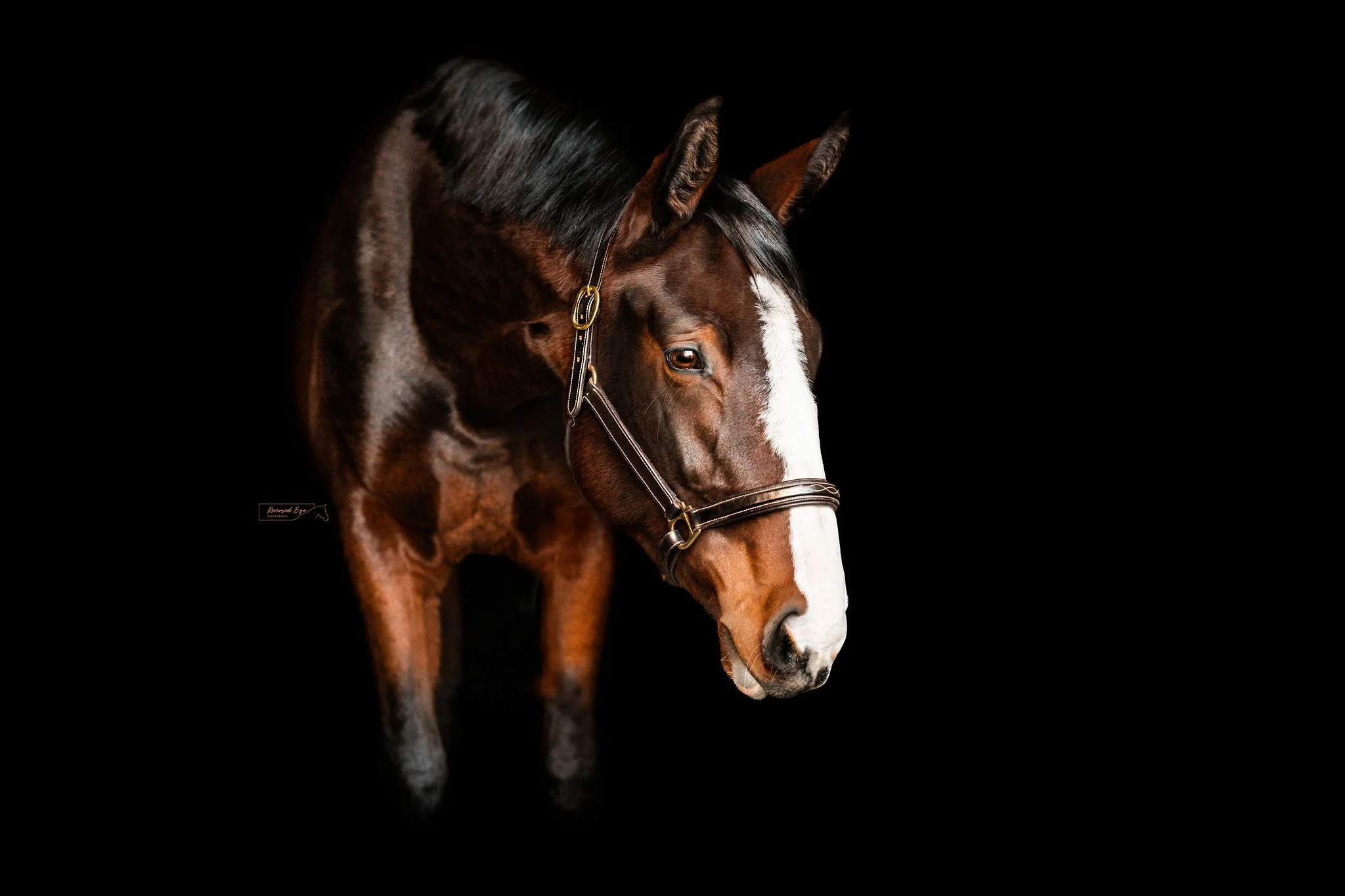 DSC_8435-Edit-Edit.jpg
