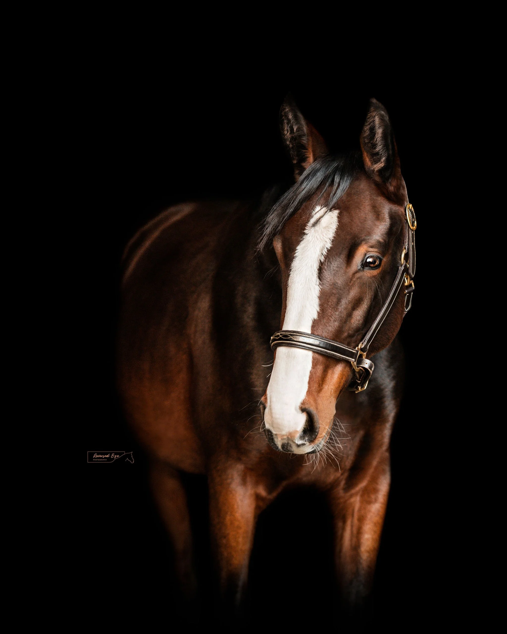 DSC_8330-Edit-Edit.jpg