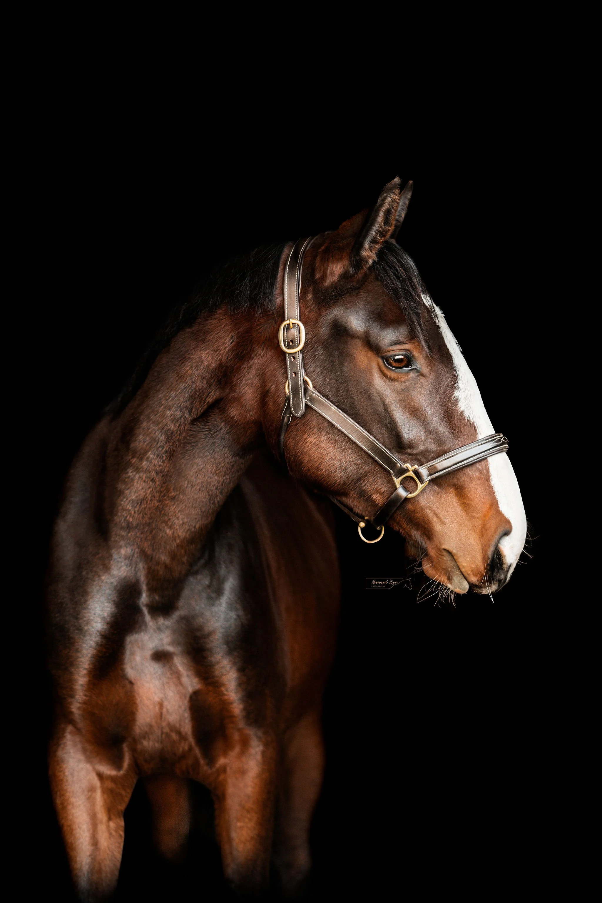 DSC_8318-Edit-Edit.jpg