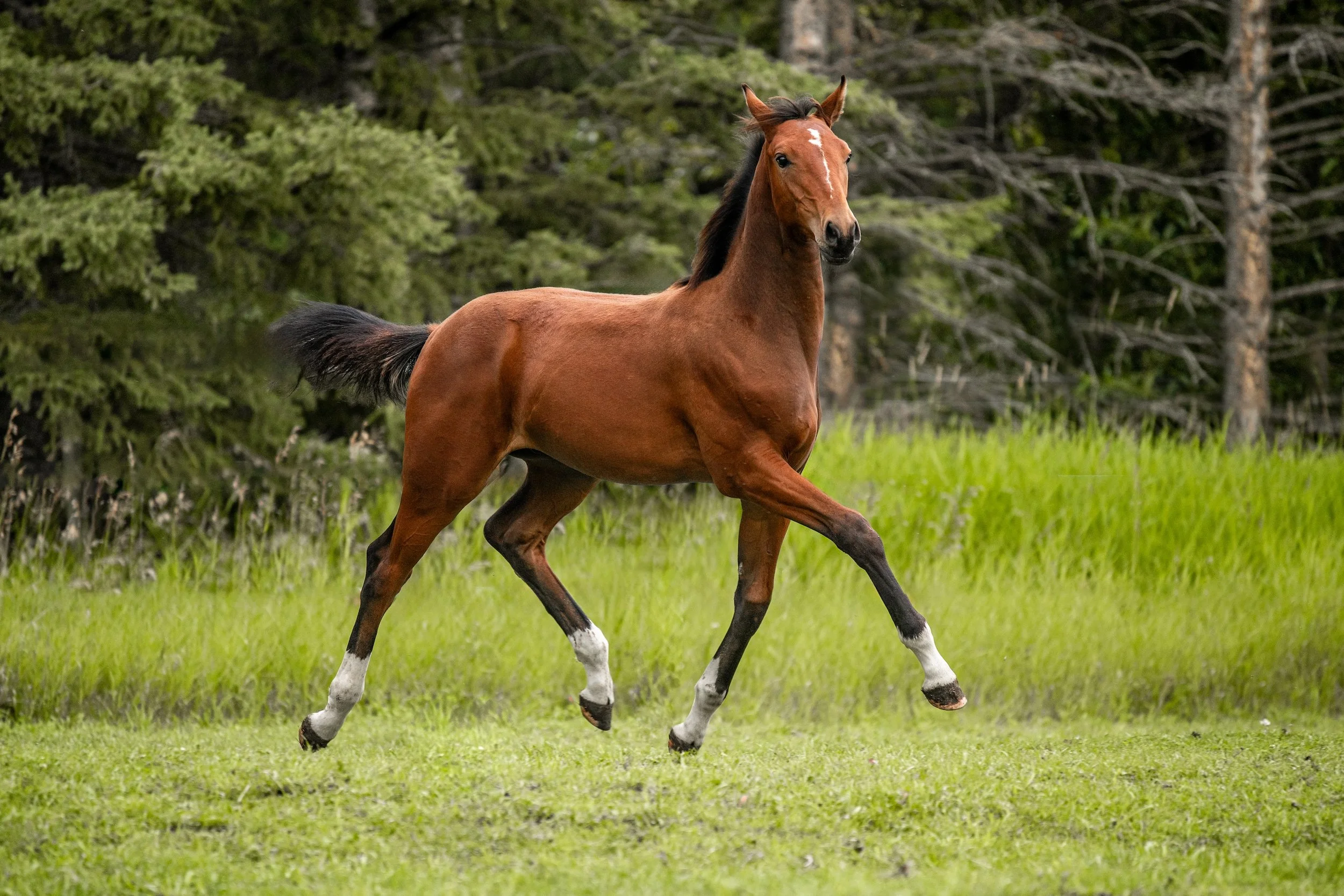 DSC_4679-Edit.jpg